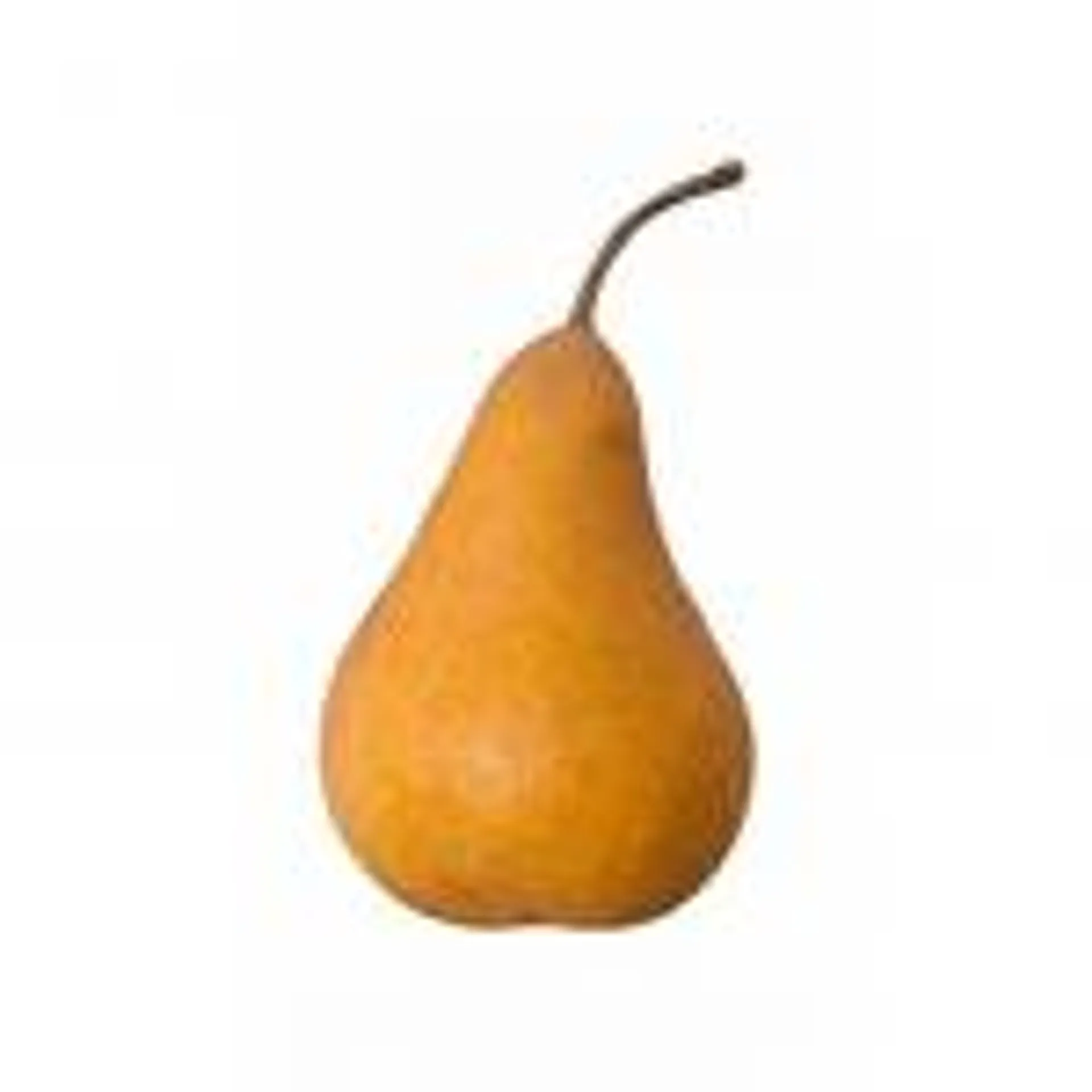 Bosc Pears