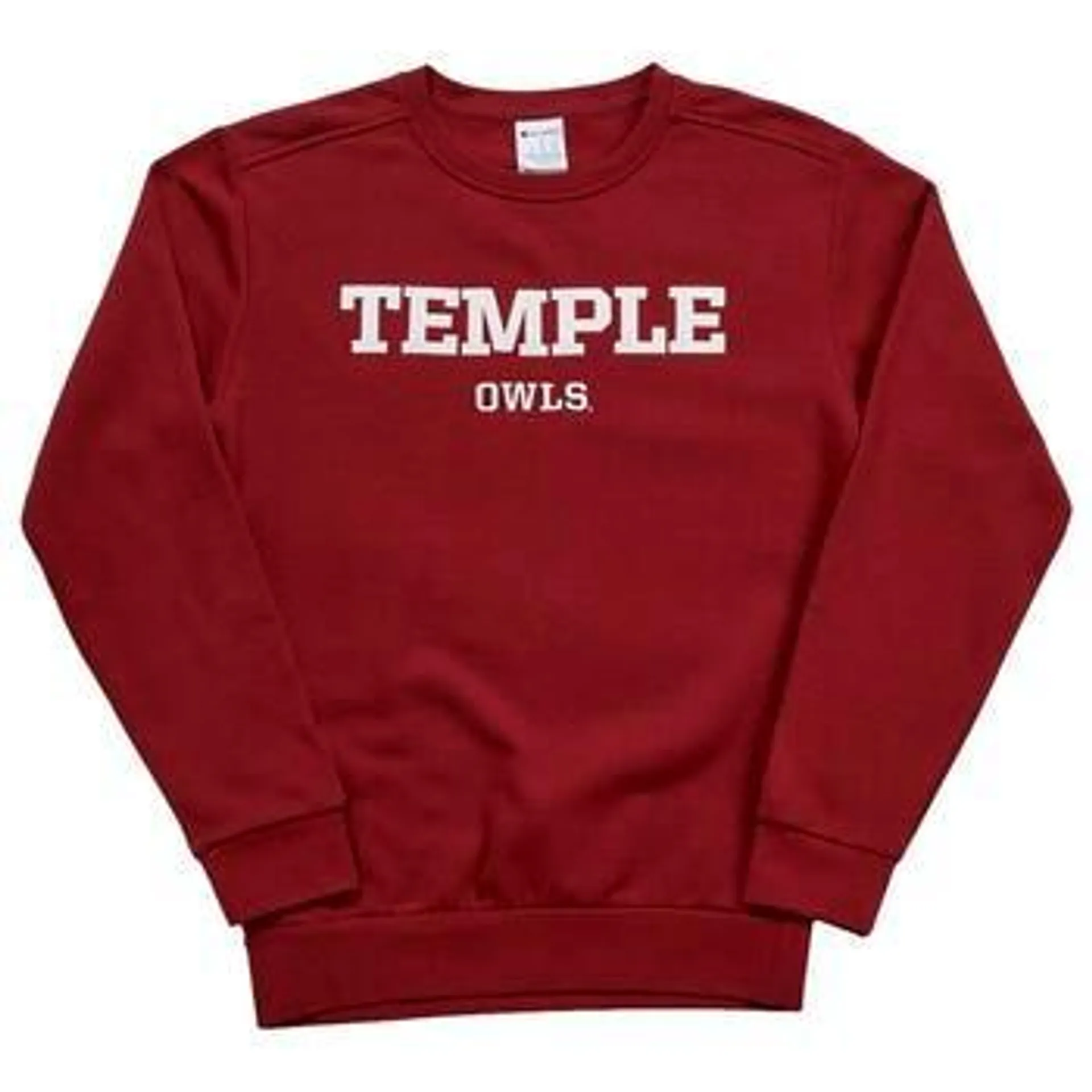 Mens Champion Temple Fleece Sweatshirt