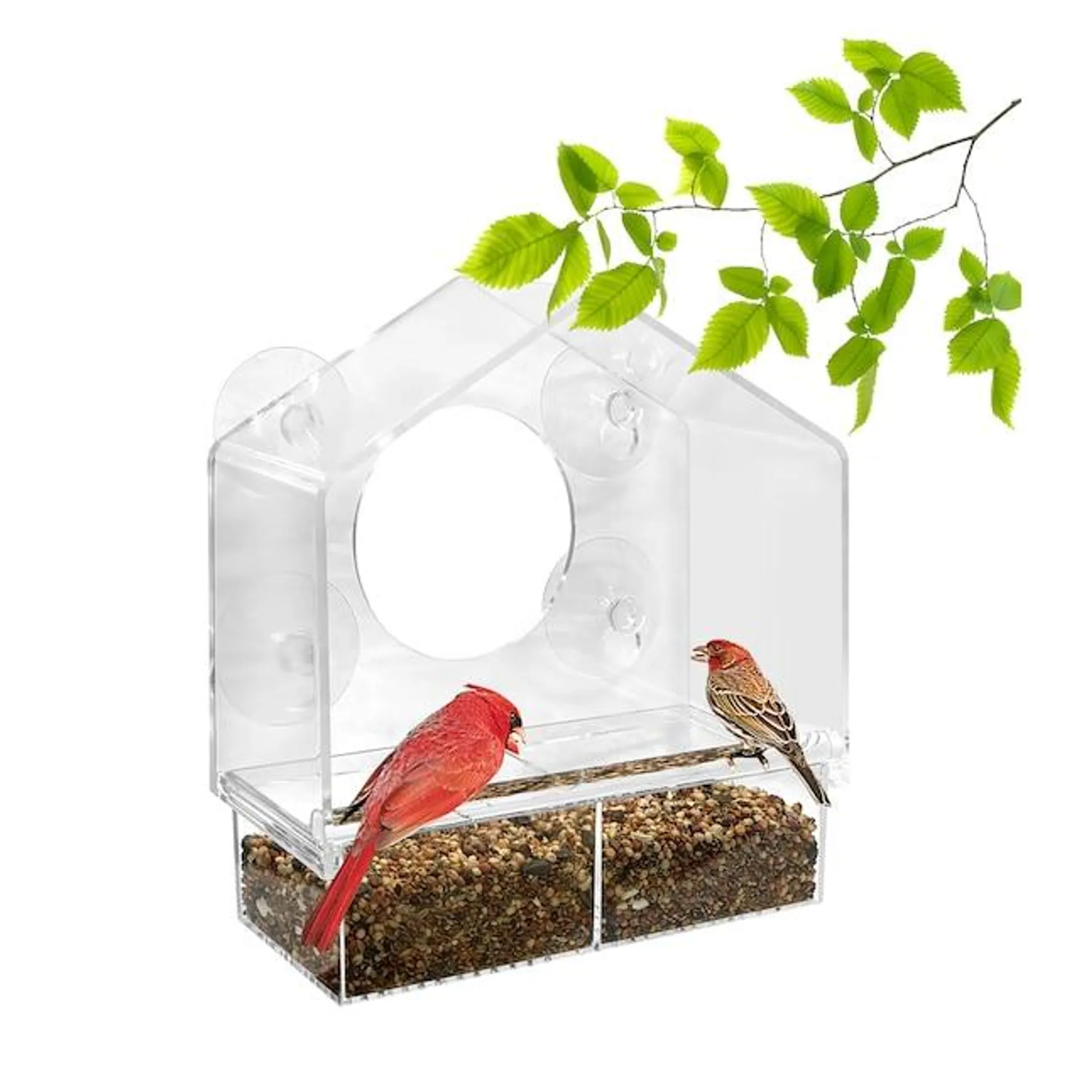 Style Selections Acrylic Window-mount (suction Cup) Window Bird Feeder- 0.625-lb