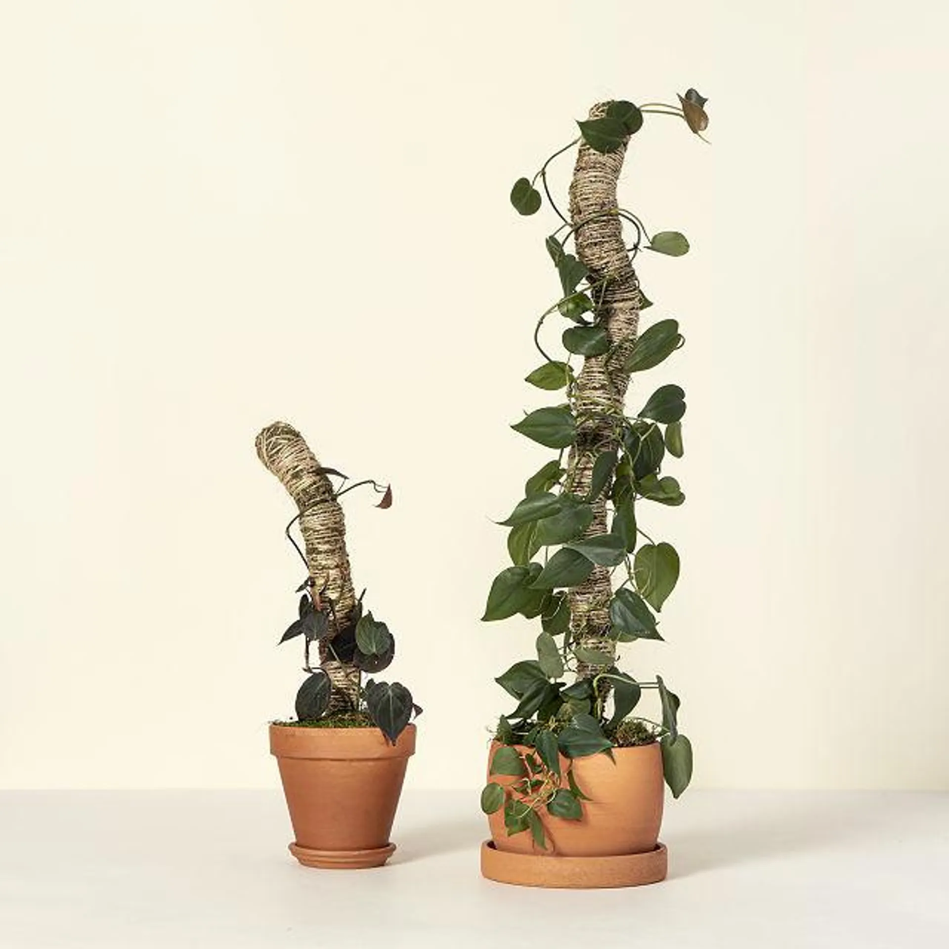 Bendable Moss Vine Climbing Pole