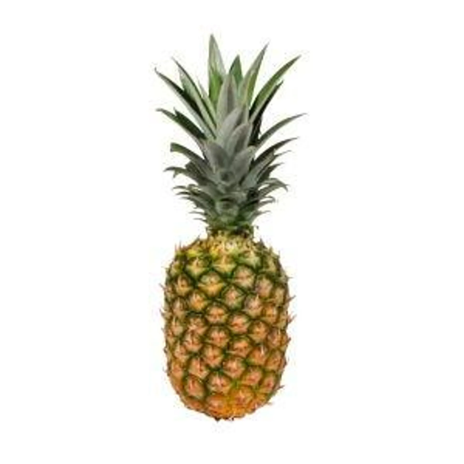 Jumbo Pineapple