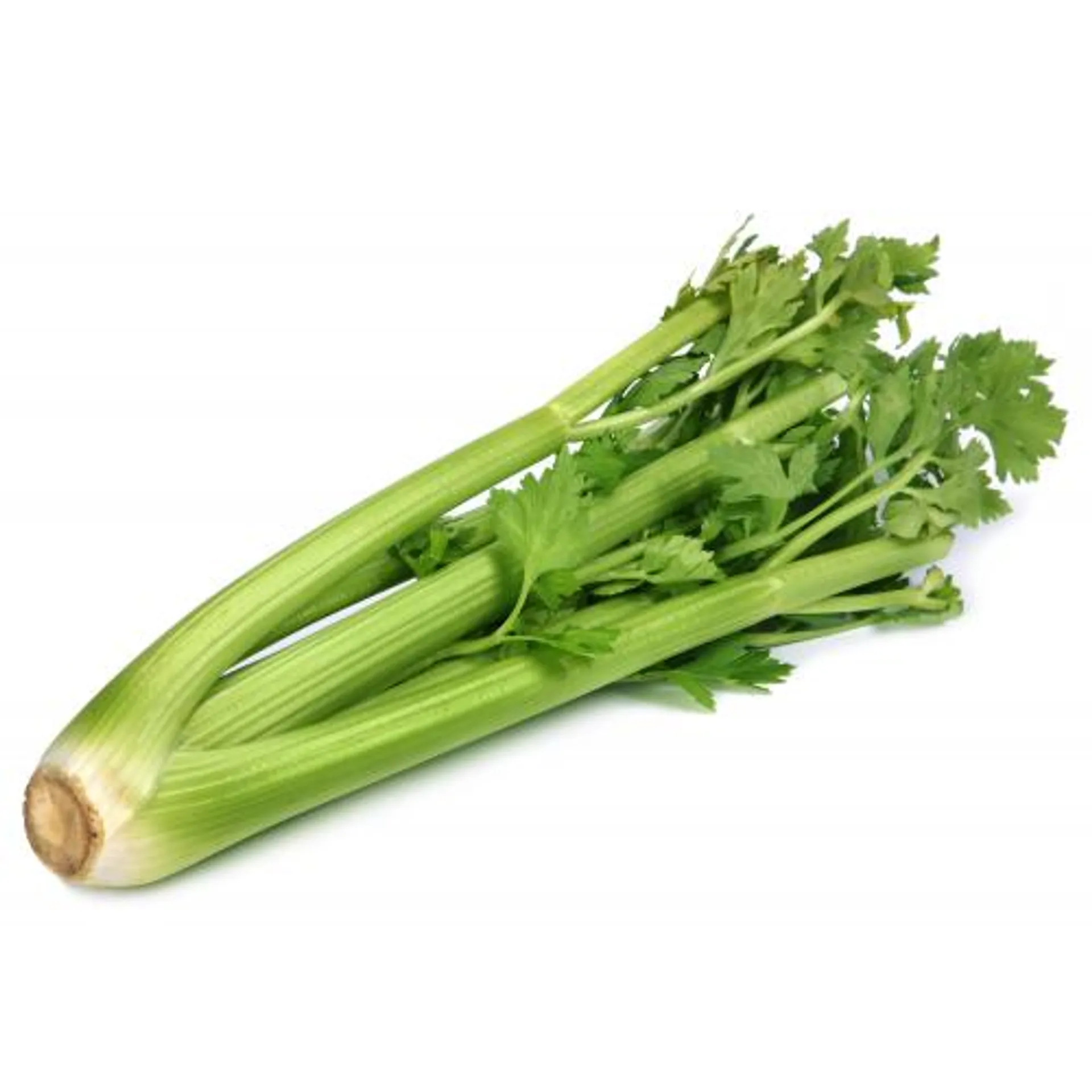 CELERY STALK