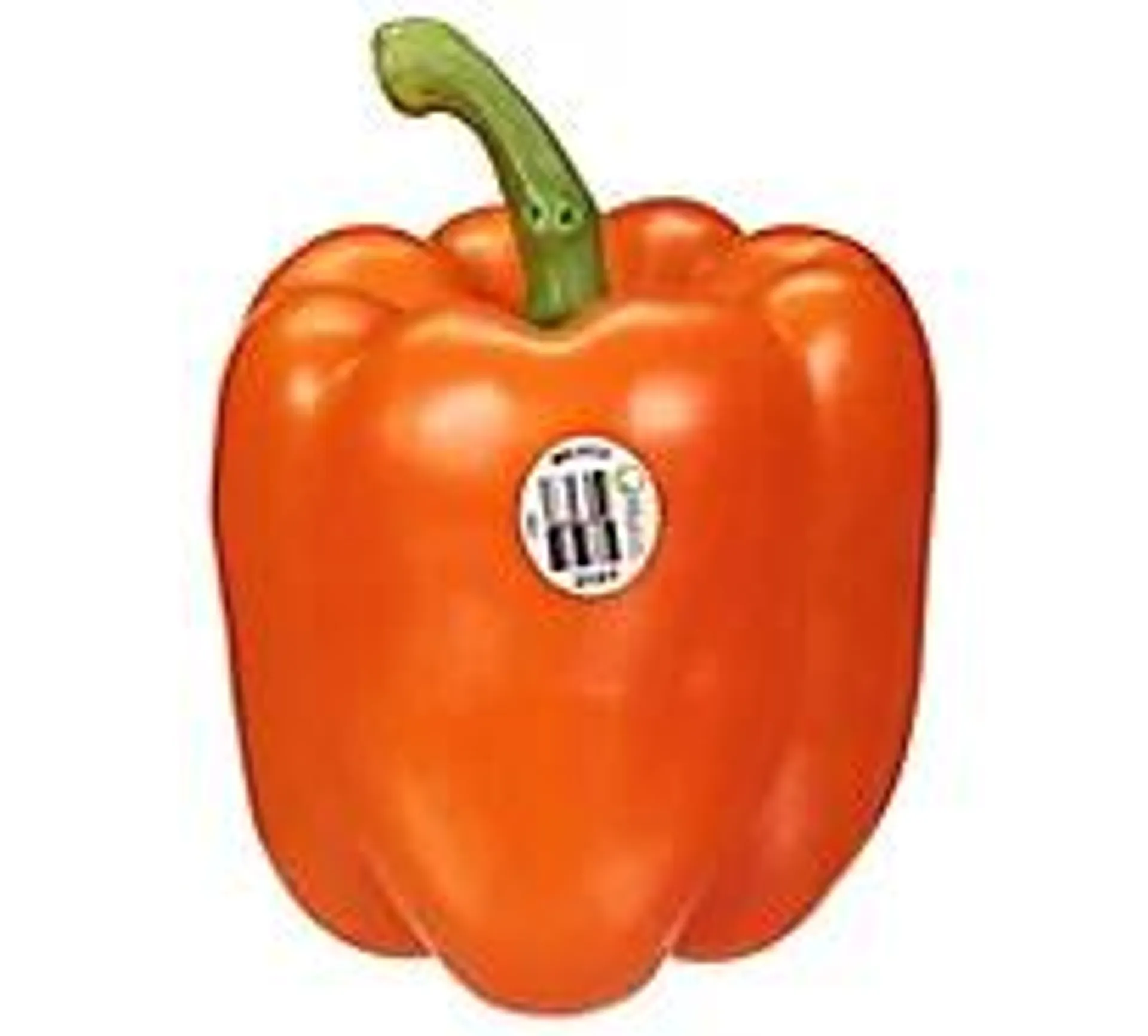 Orange Bell Pepper