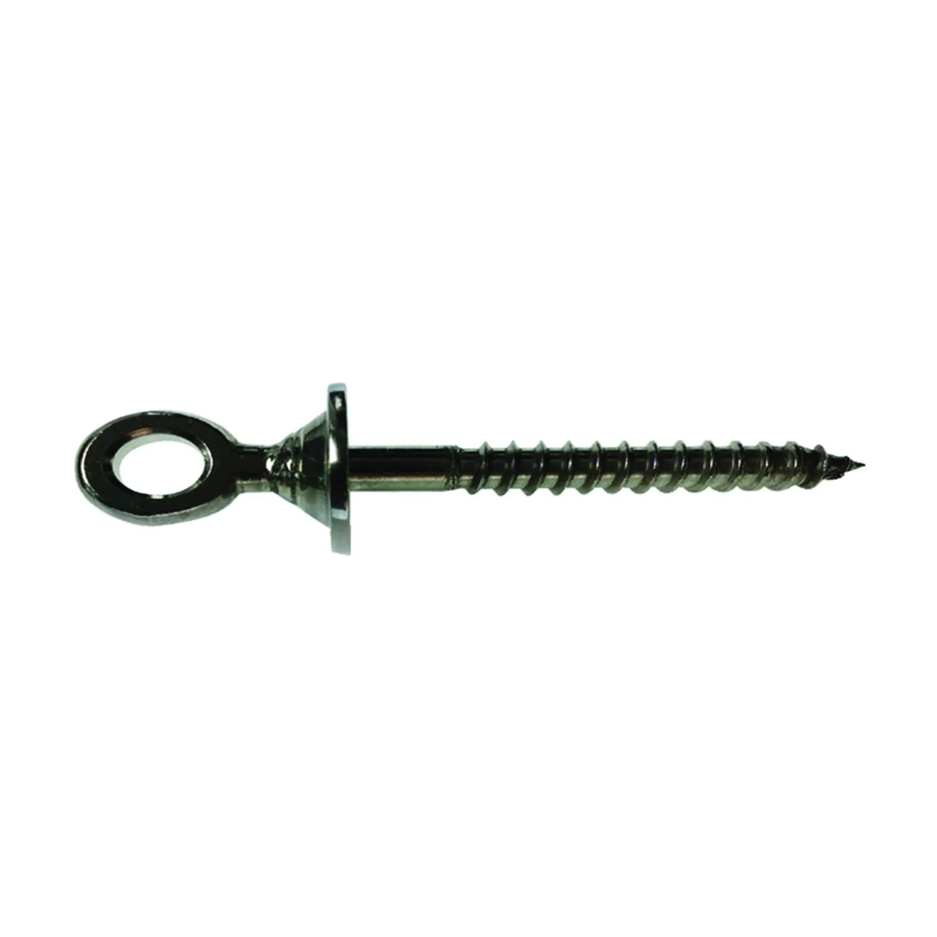 RT EL-01 Eye Lag Screw, Stainless Steel