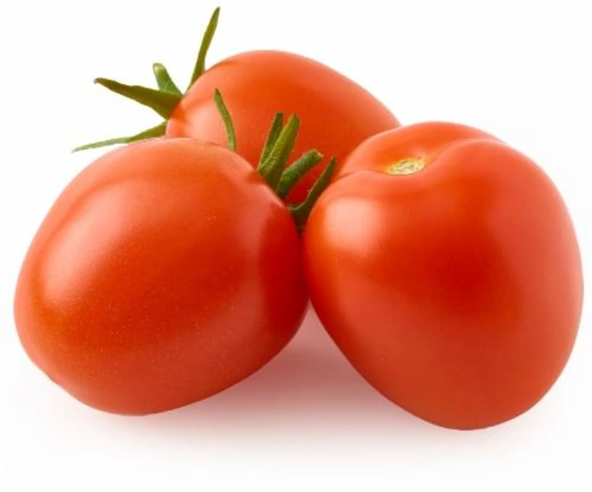 Fresh Roma Tomato