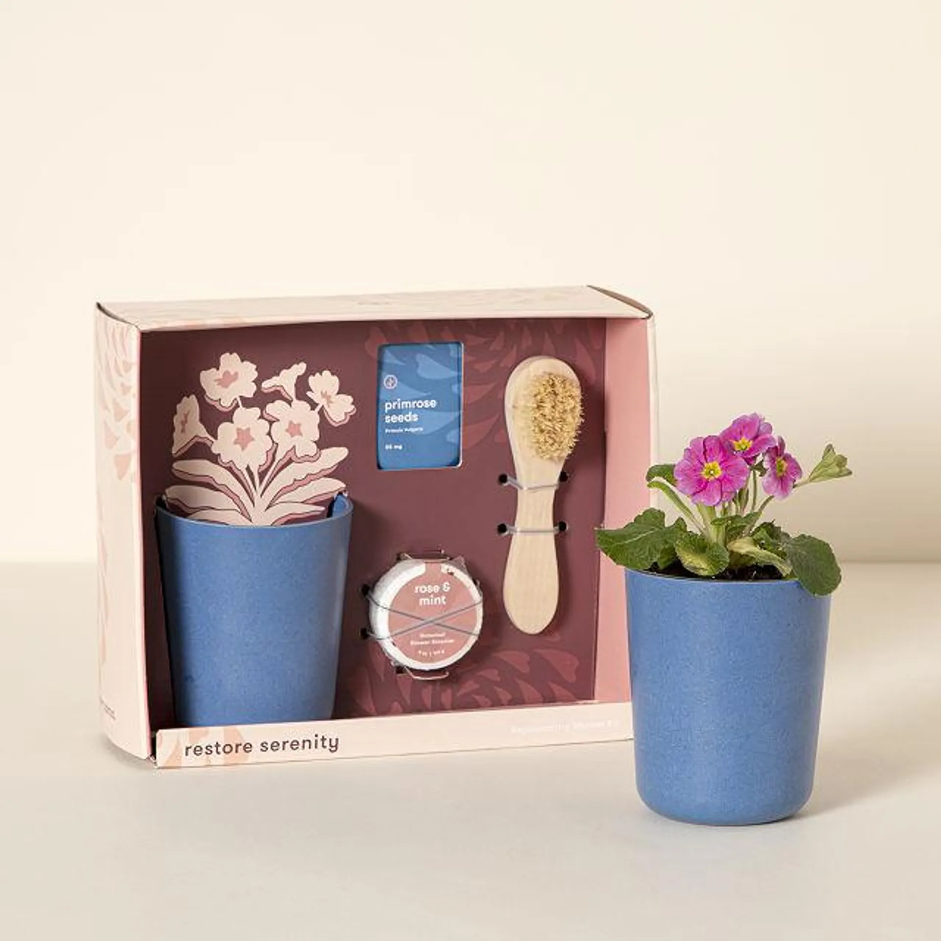 Primrose Grow Kit & Shower Steamer Set