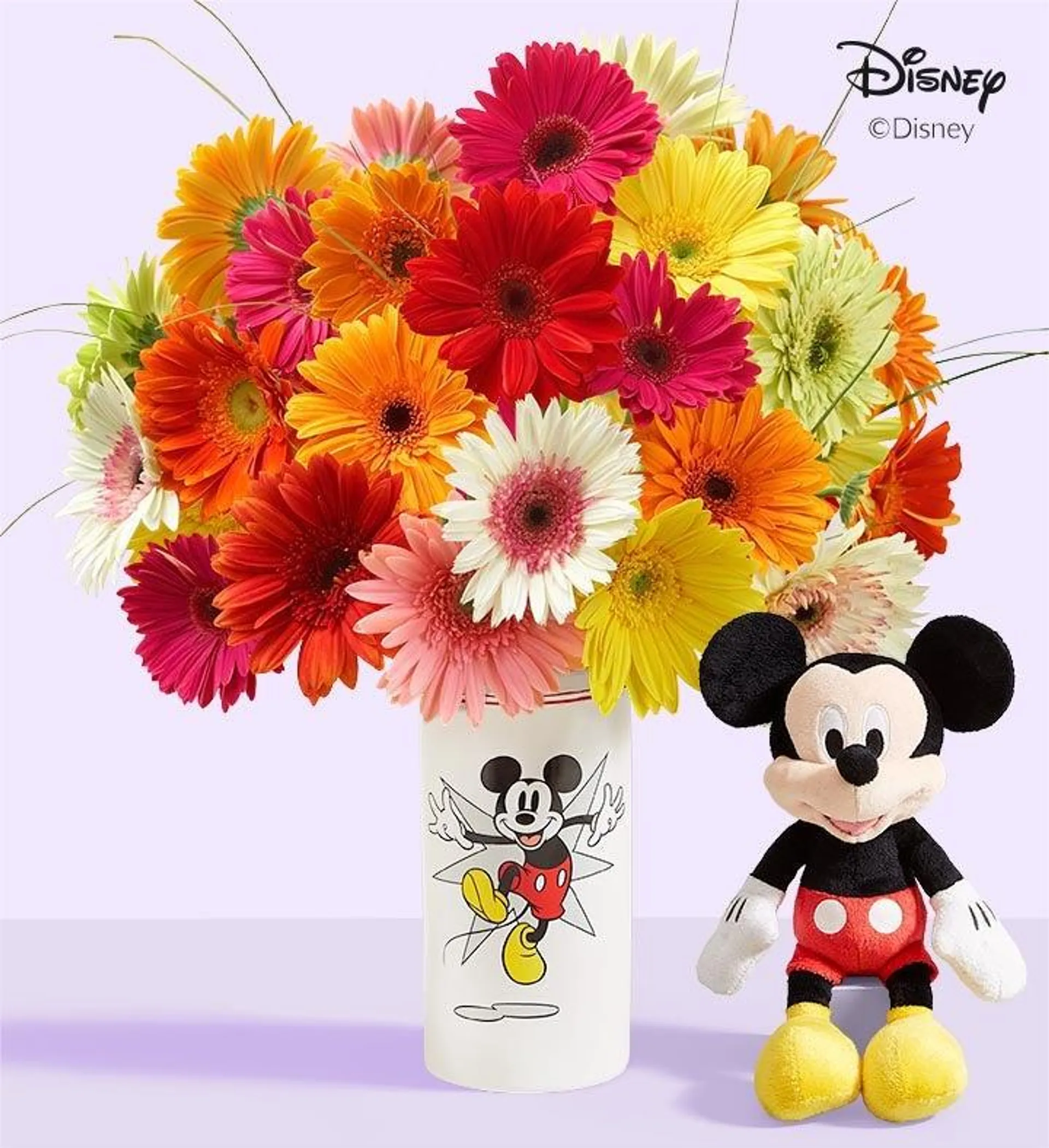 Disney Mickey Mouse Vase With Assorted Gerbera Daisies