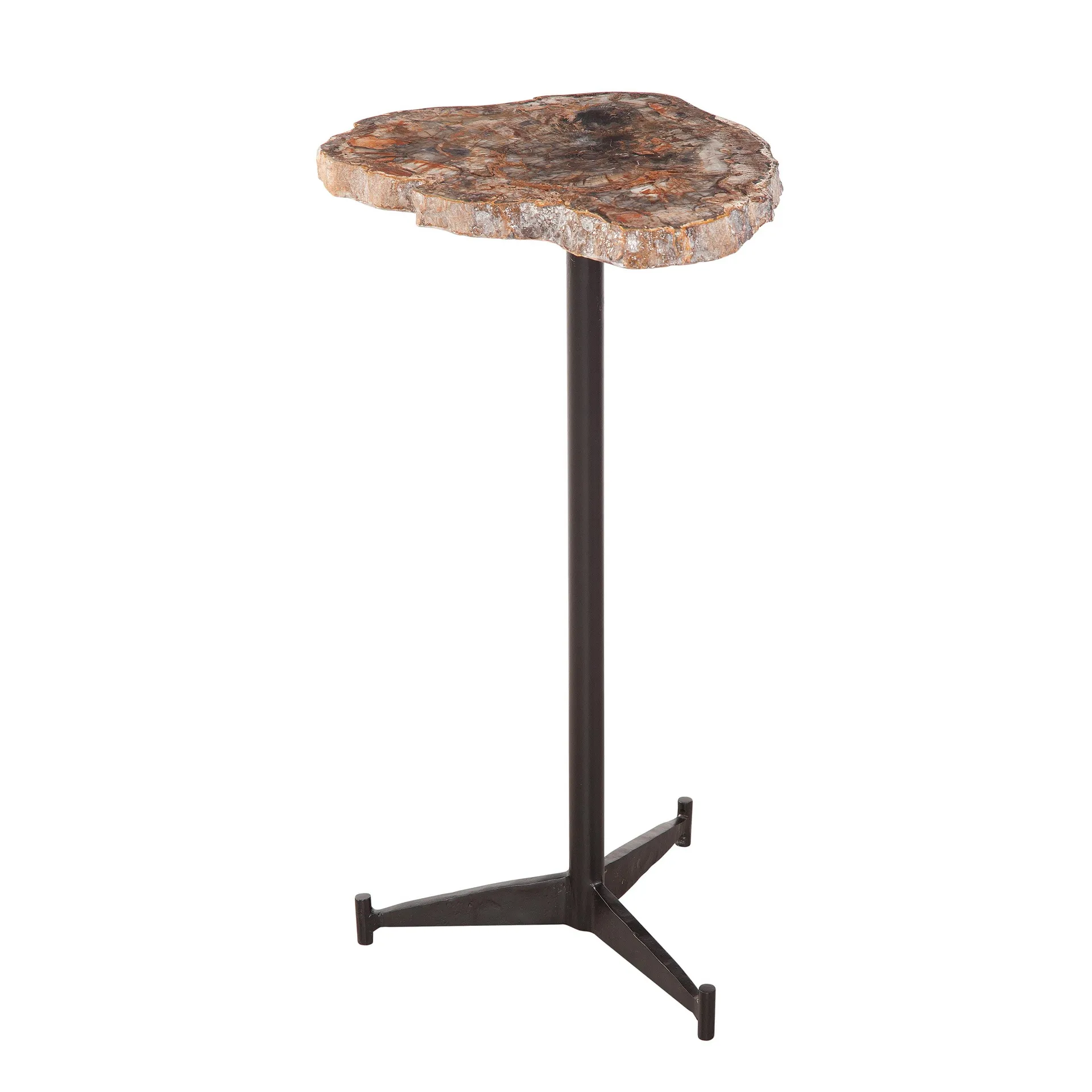 Henrietta Petrified Wood Accent Table