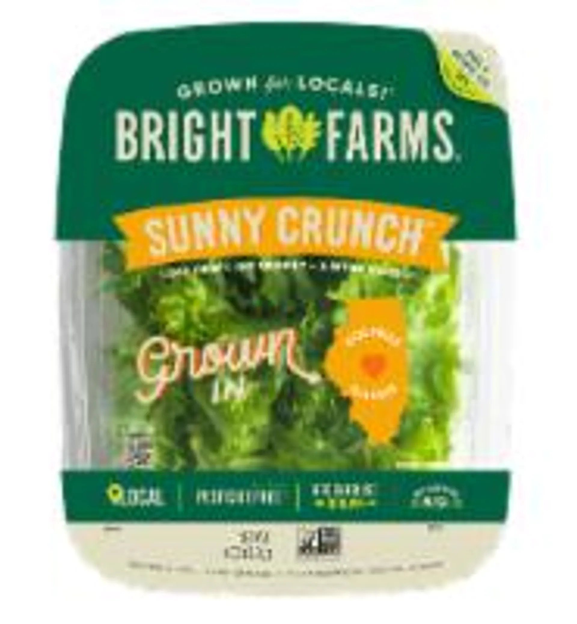 BrightFarms® Sunny Crunch® Green Leaf Lettuce