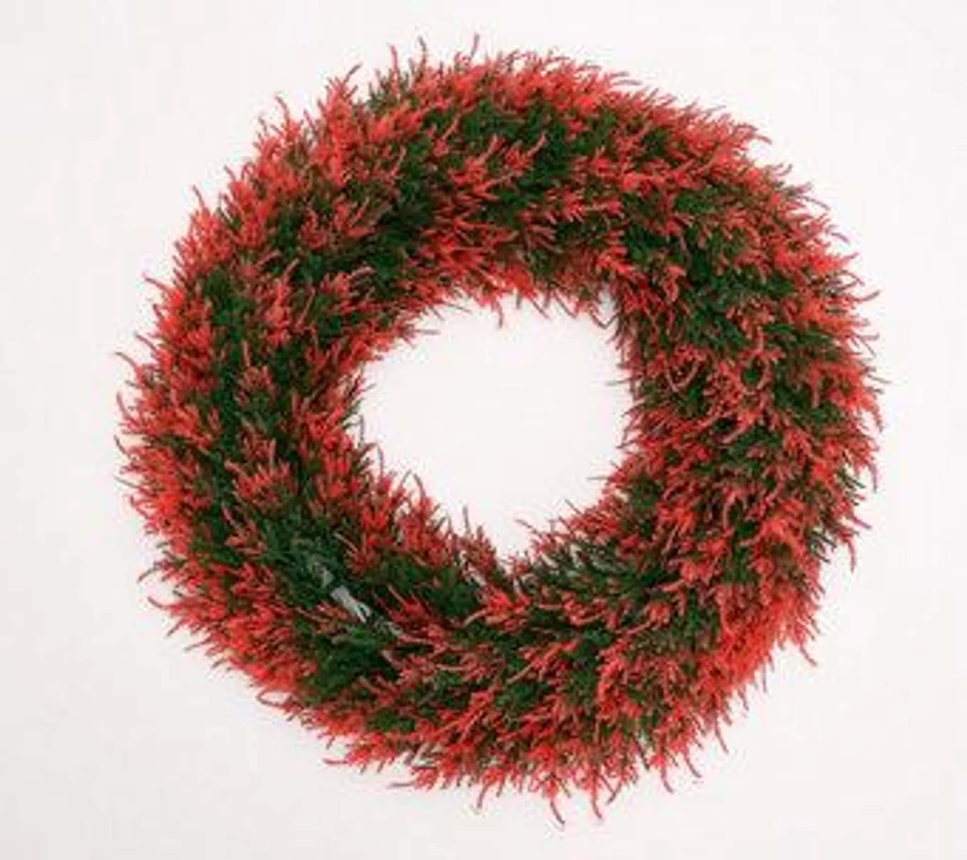 Wicker Park 22" Cedar Wreath