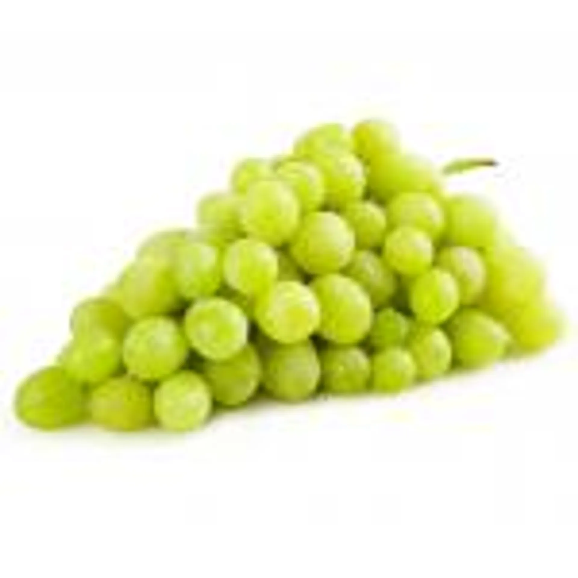 Seedless Green Grapes