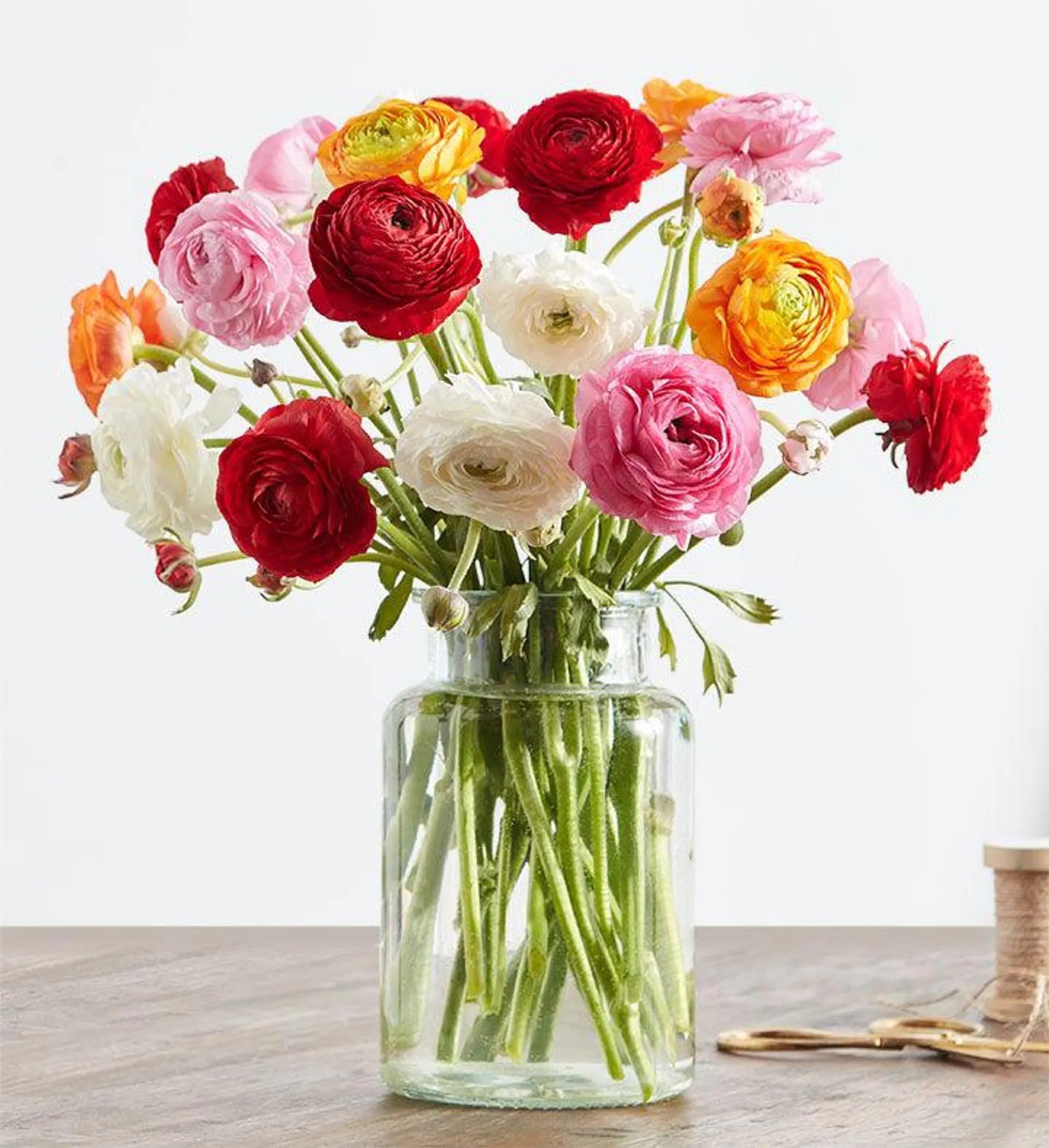 Radiant Ranunculus Bouquet