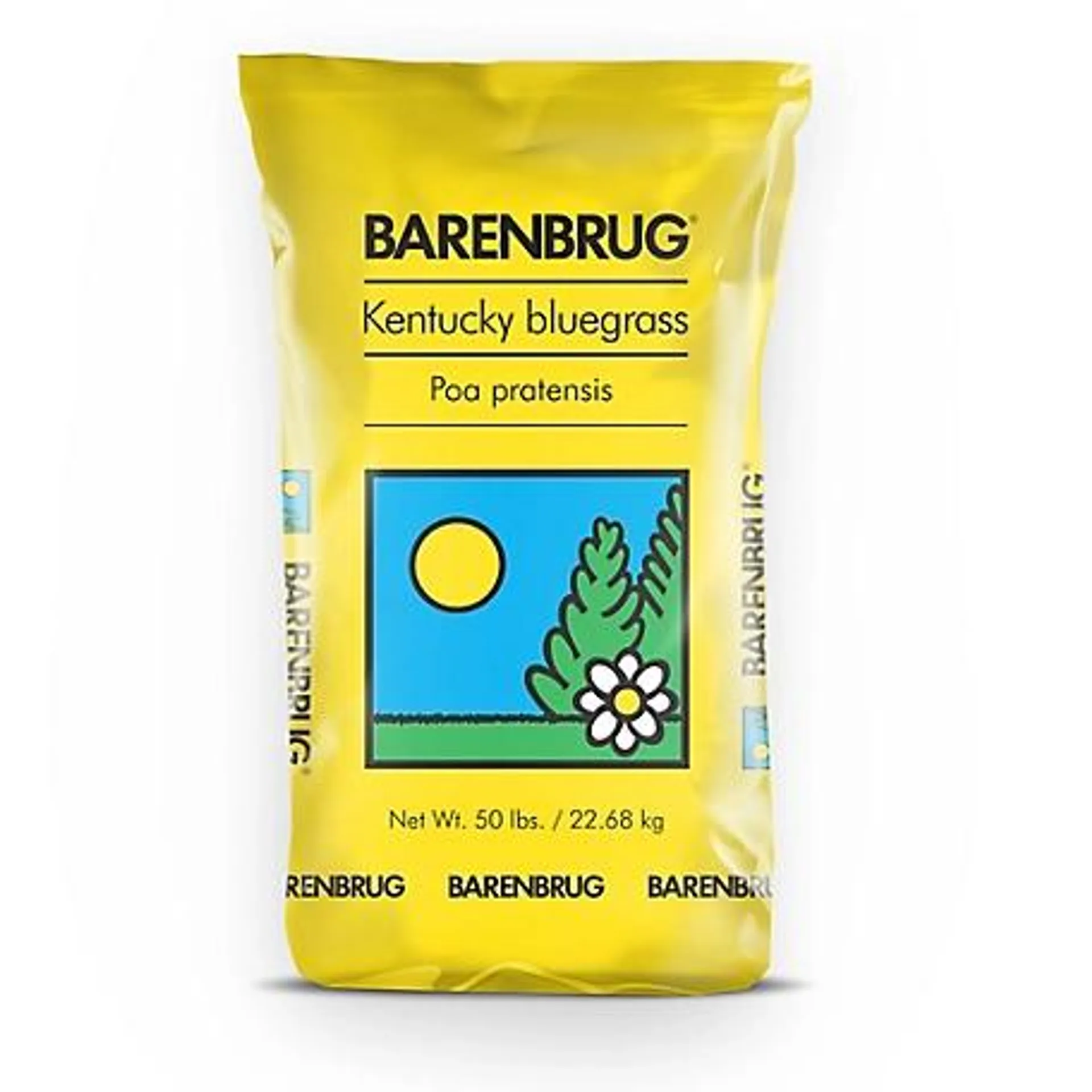 Barenbrug 50 lb. 25,000 sq. ft. Barrister Kentucky Bluegrass Seed