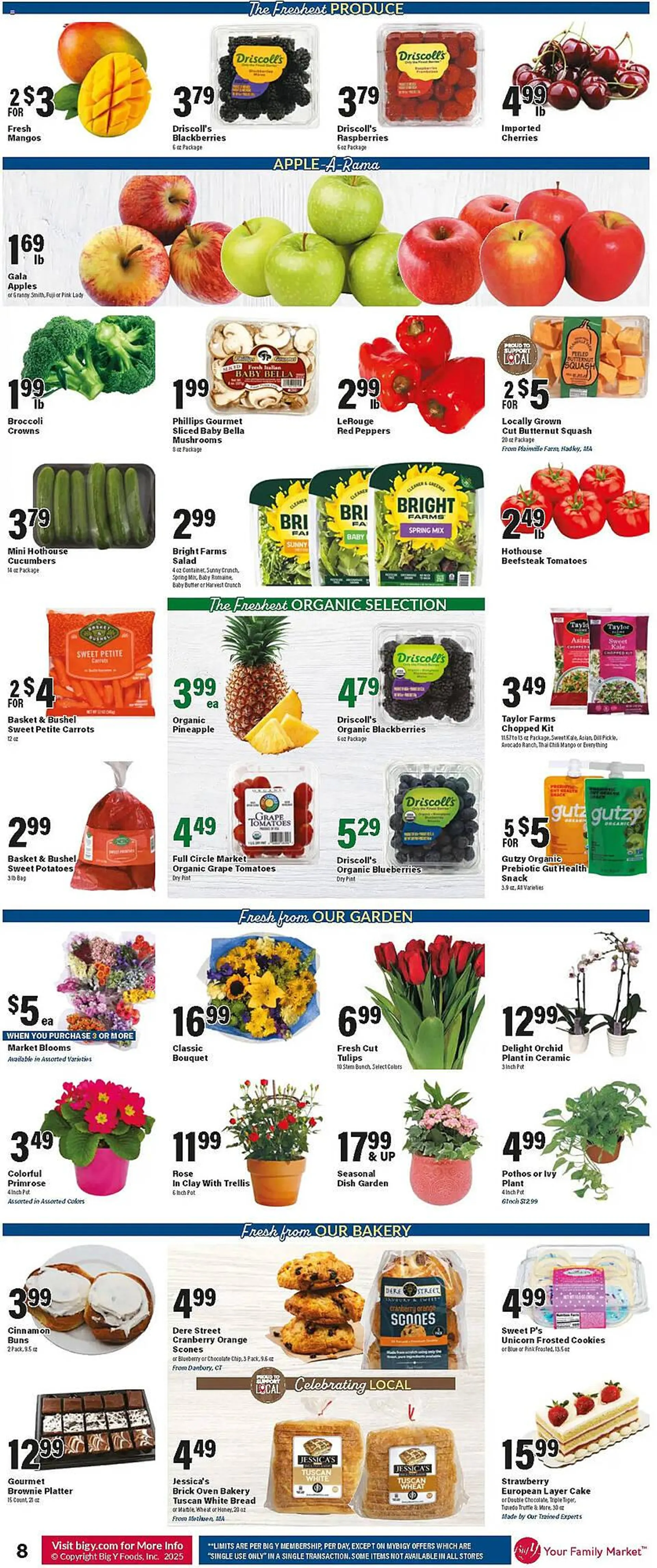 Weekly ad Big Y Weekly Ad from January 9 to January 15 2025 - Page 9