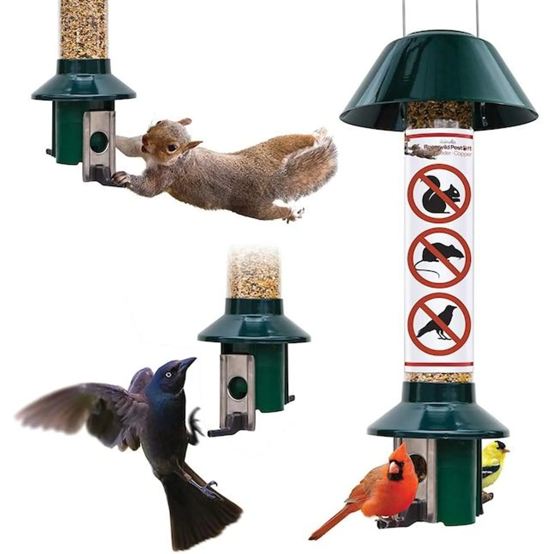 Roamwild Roamwild PestOff Metal Hanging Squirrel-resistant Tube Bird Feeder- 3-lb