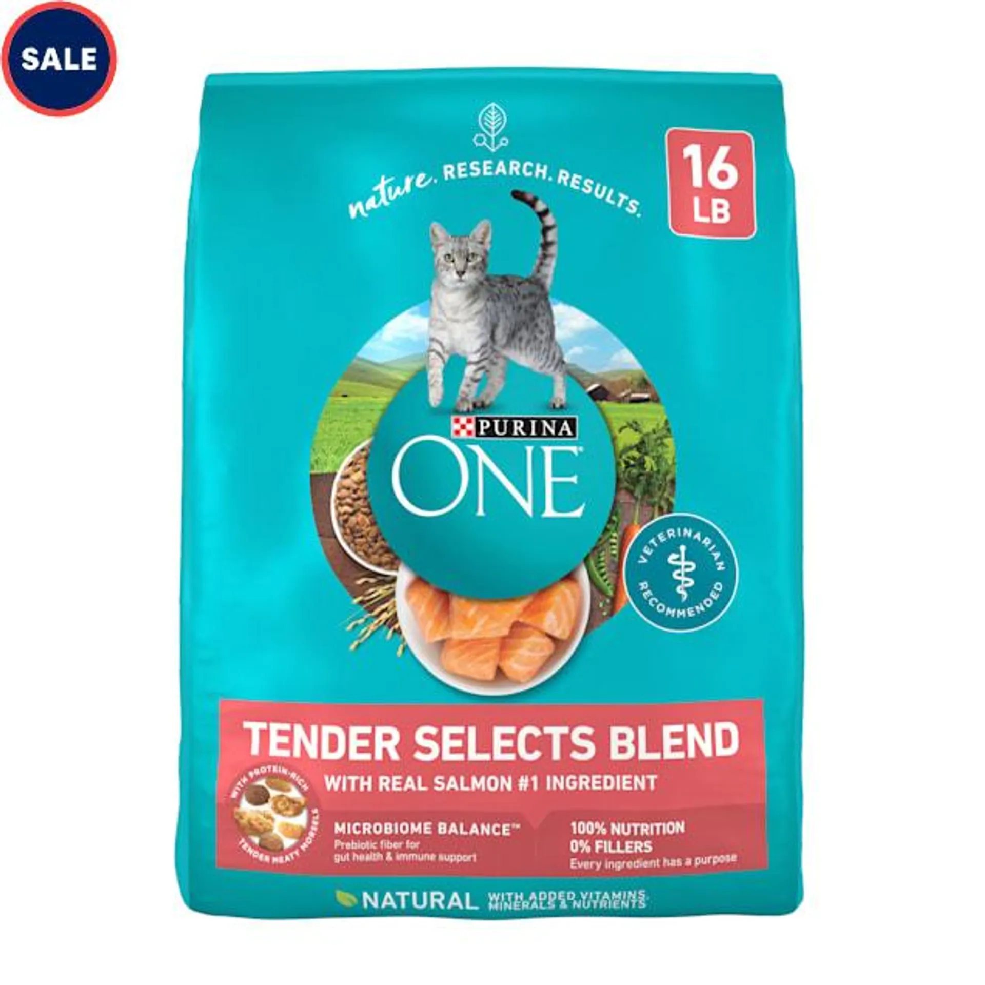 Purina ONE Tender Selects Blend With Real Salmon Natural Dry Cat Food, 16 lbs.