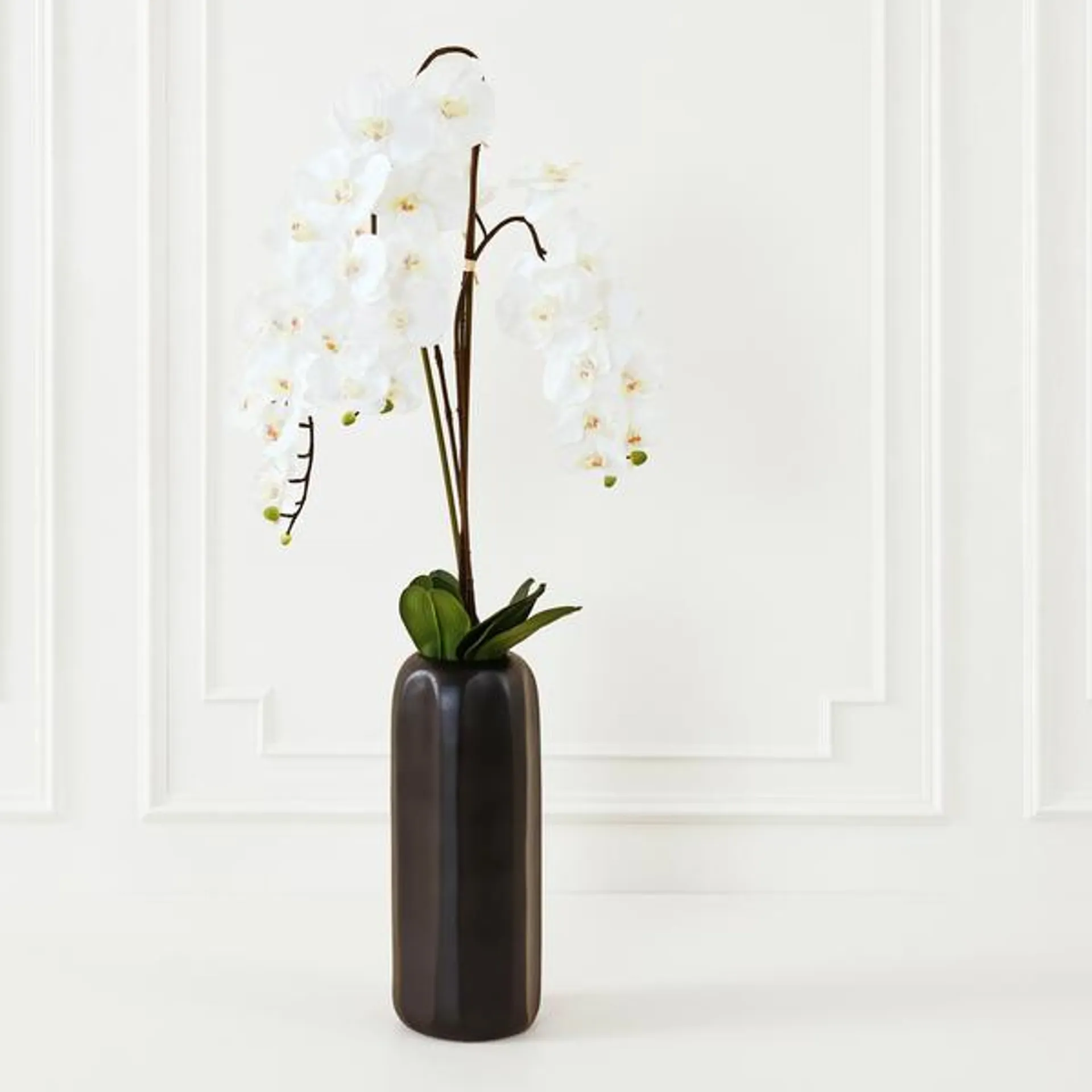 Nikki Chu - Orchid In Black Vase