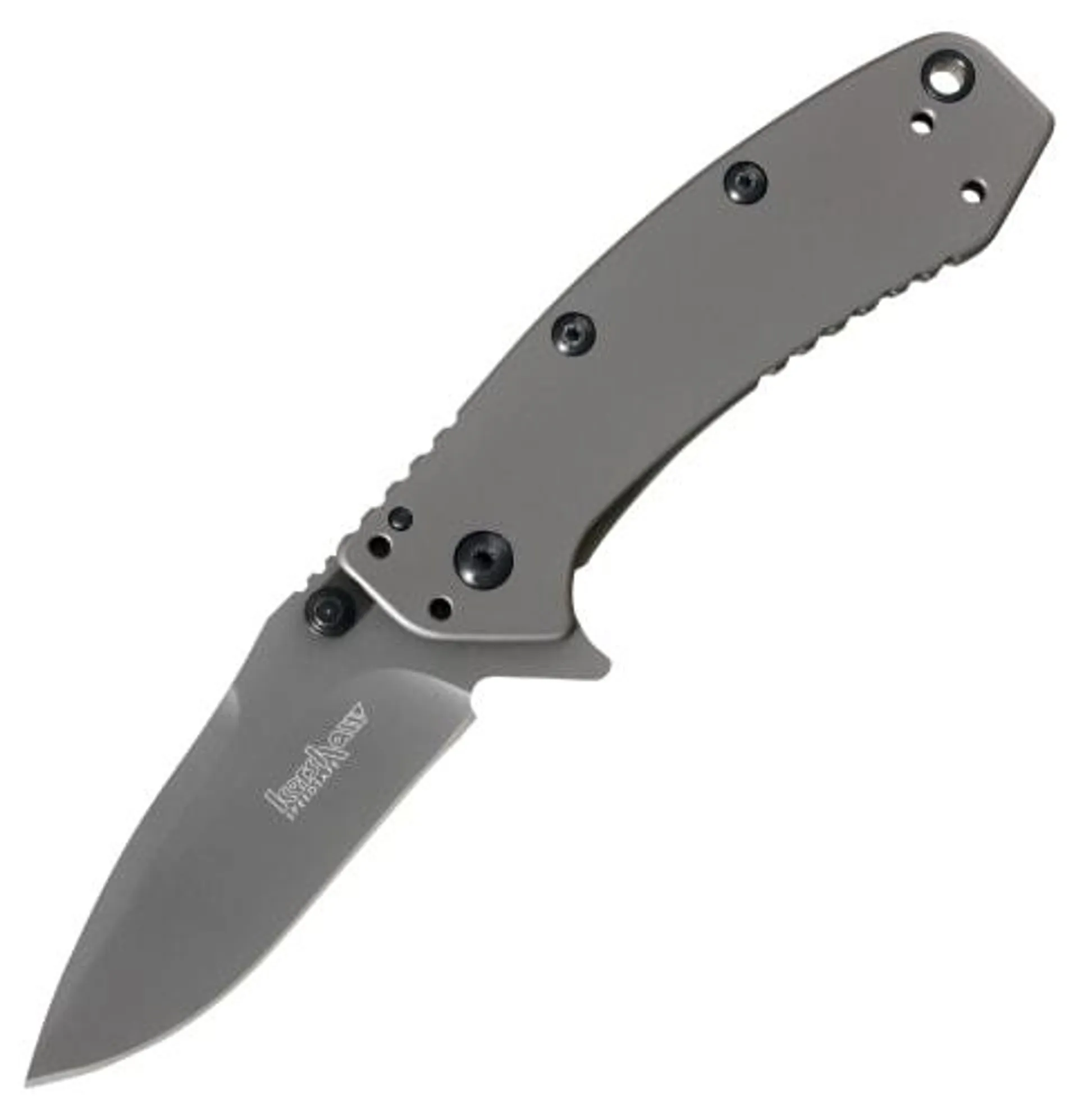 Kershaw Cryo Assisted Opening Fine Edge Drop Point Folding Knife