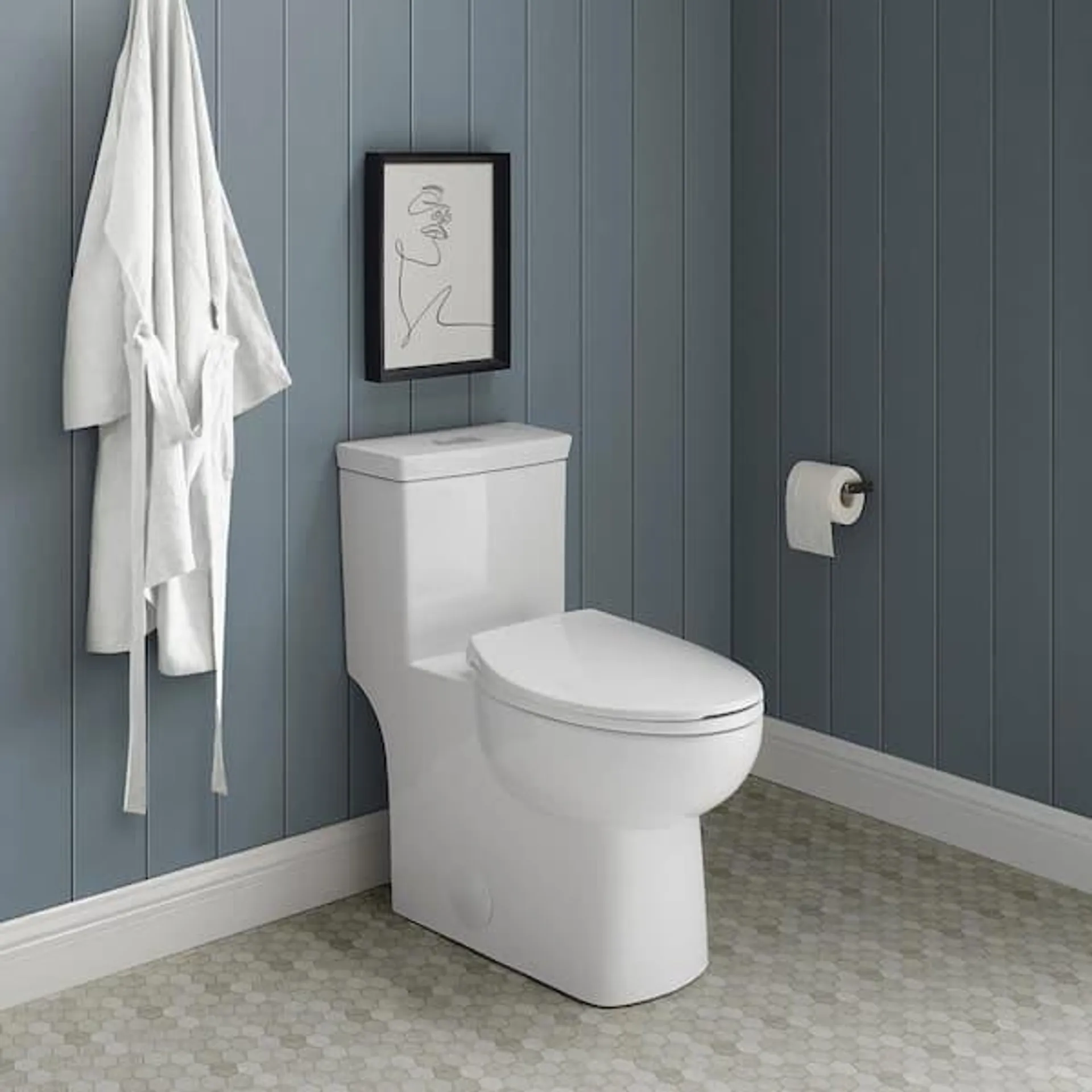 Classe 1-Piece 1.1 GPF/1.6 GPF Dual Flush Elongated Toilet in White, Seat Included