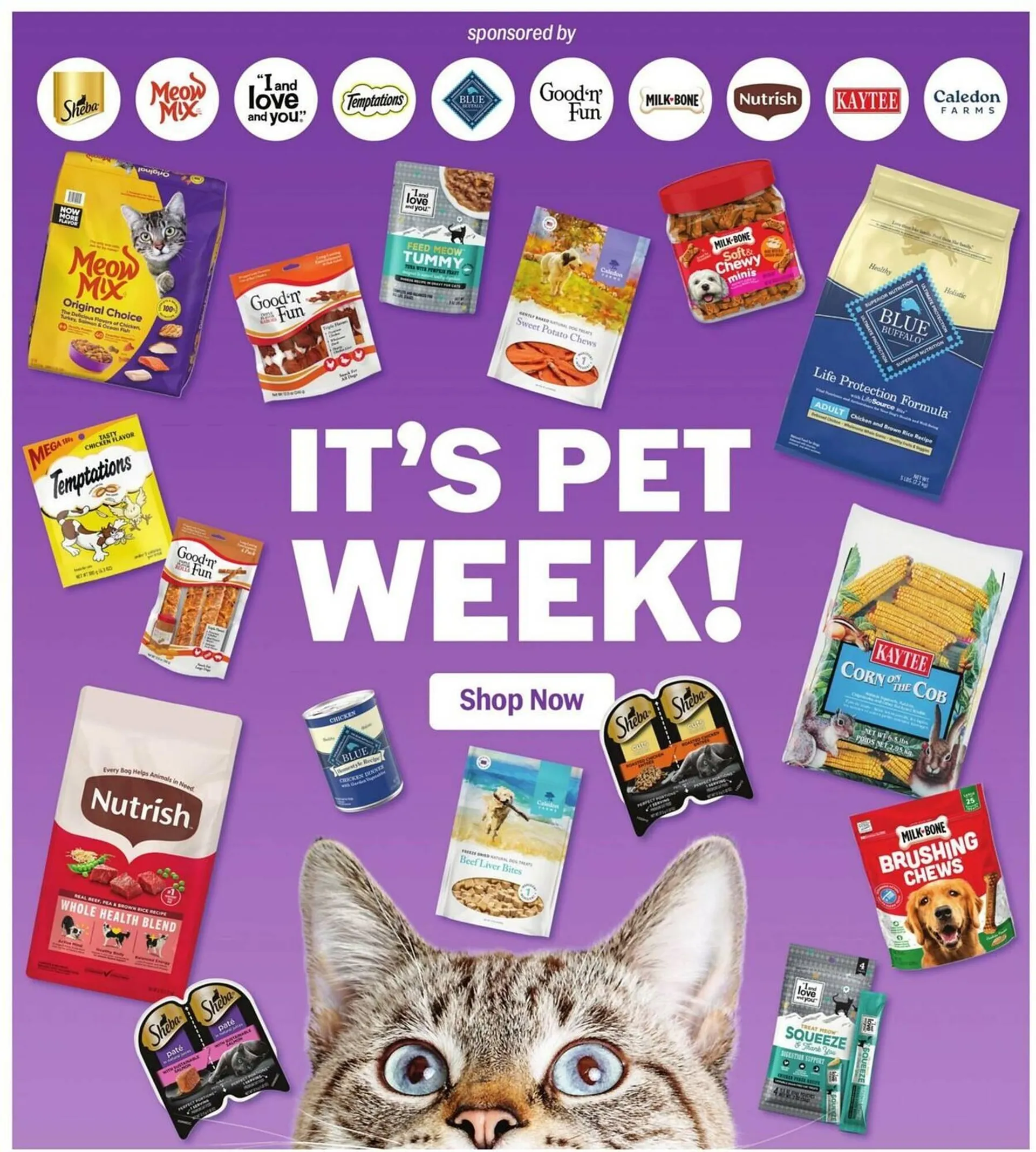 Weekly ad Meijer Weekly Ad from May 11 to May 17 2025 - Page 49