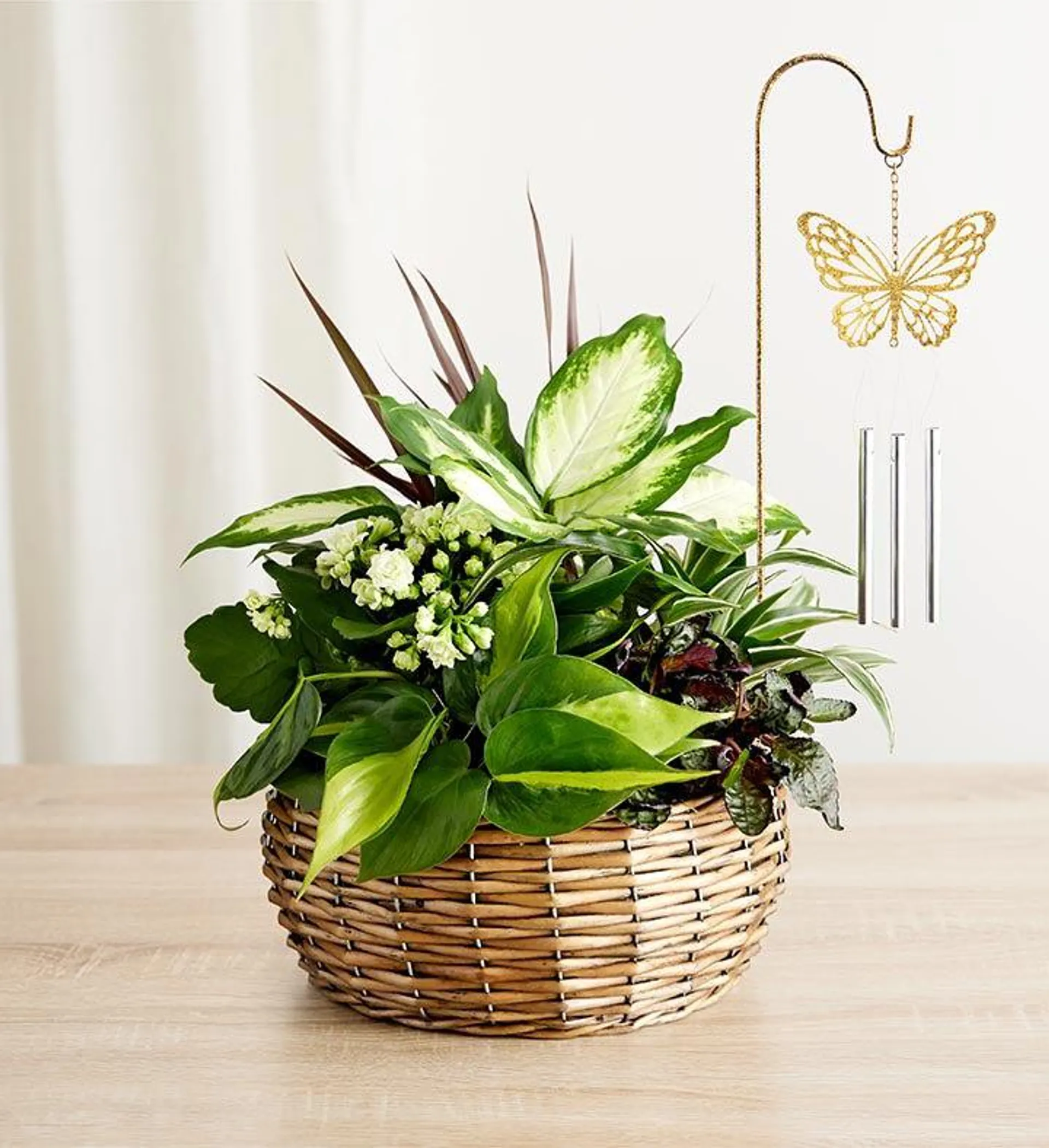 Butterfly Chime Dish Garden