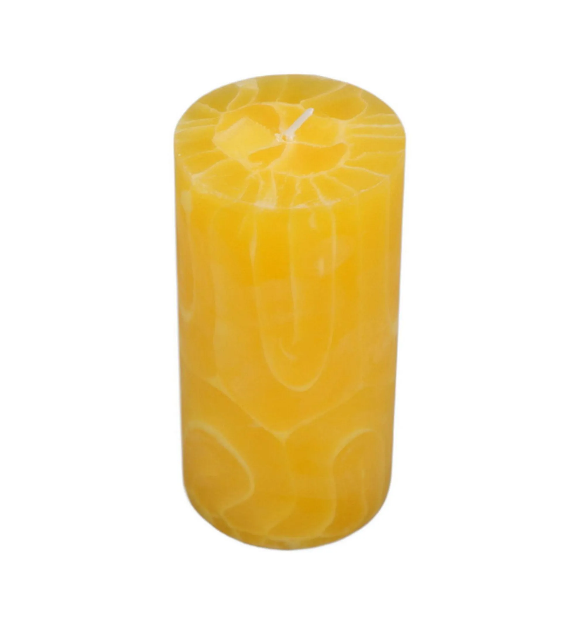 20.5oz Hand Poured Scented Pillar Candle by Place & Time