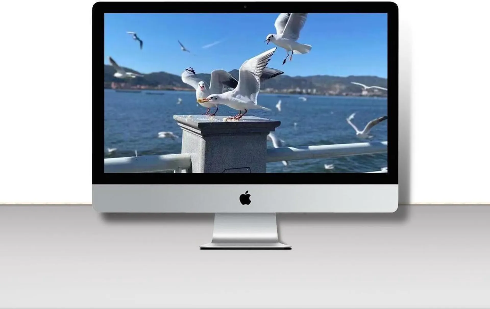 Apple Desktop Computer 27-inch iMac A2115 2019 MRR02LL/A 3.1 GHz Core i5 (I5-8600) 24GB RAM 1 TB SSD Storage Radeon Pro 575X Graphics (Renewd)