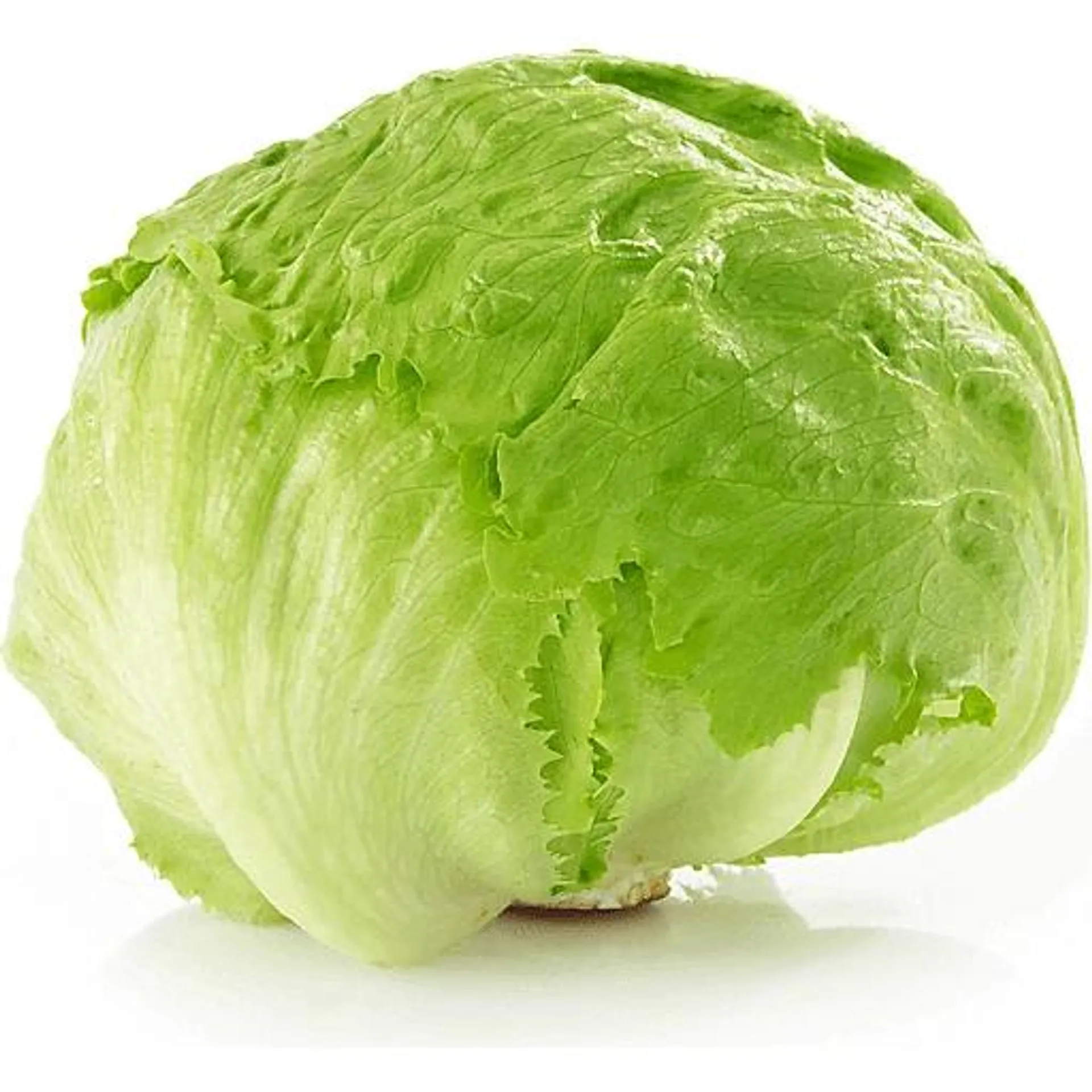 Head Lettuce