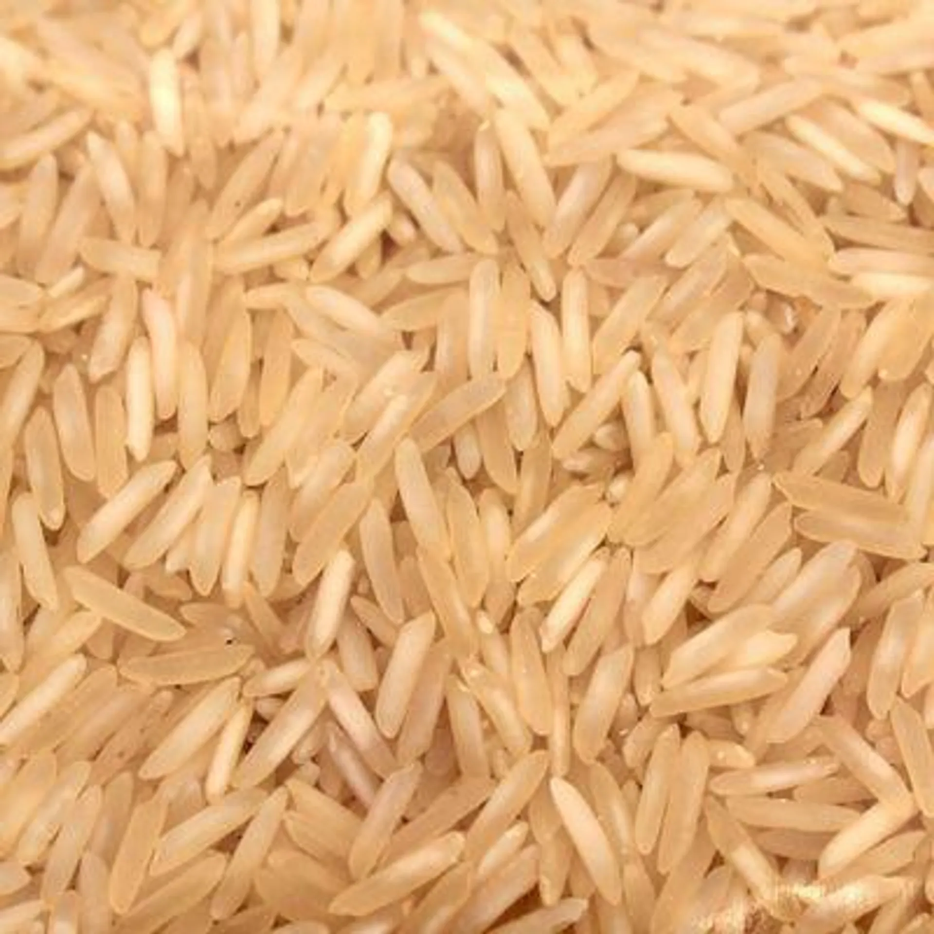 Organic White Basmati Rice (Packaged)