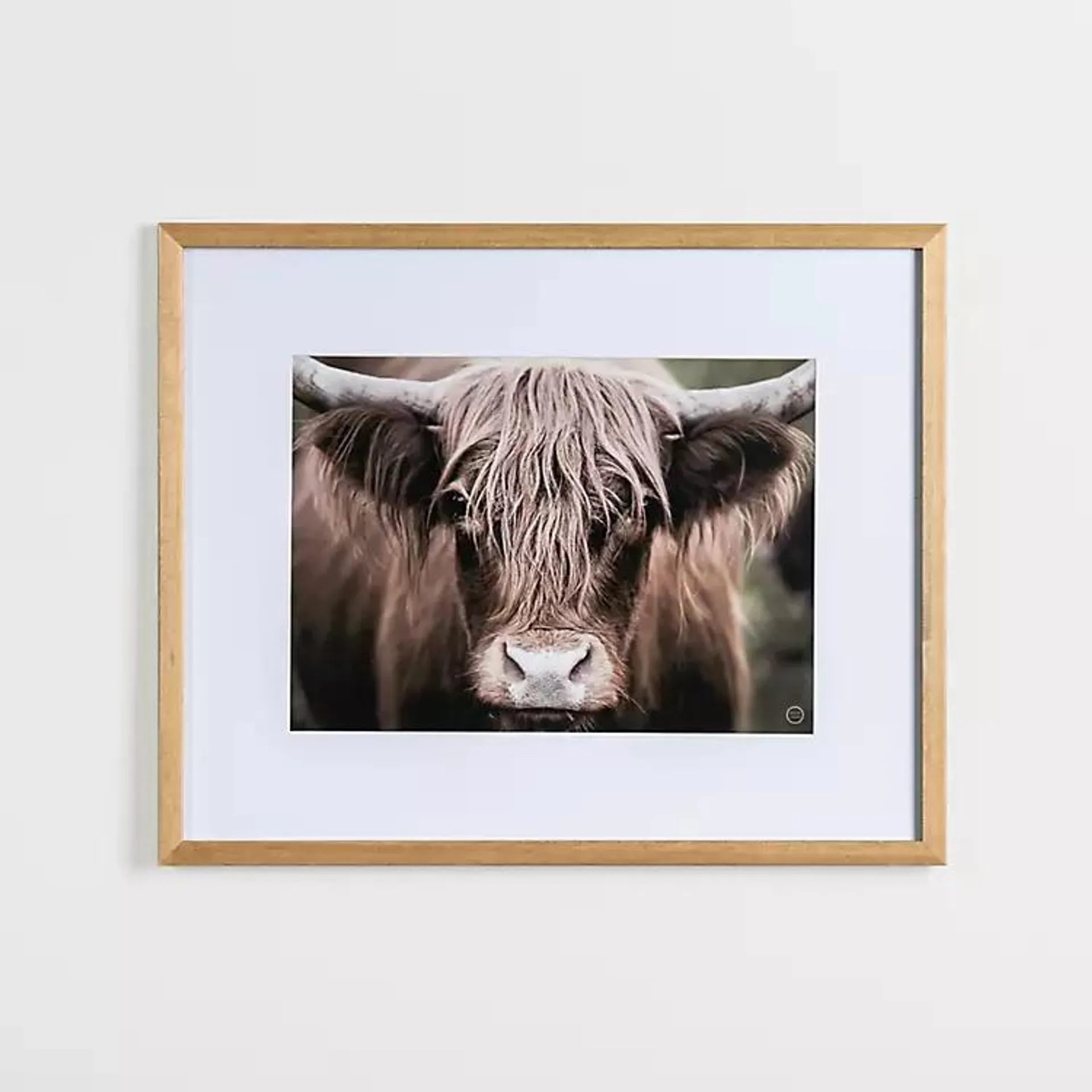 Highland Cow Stare Framed Art Print