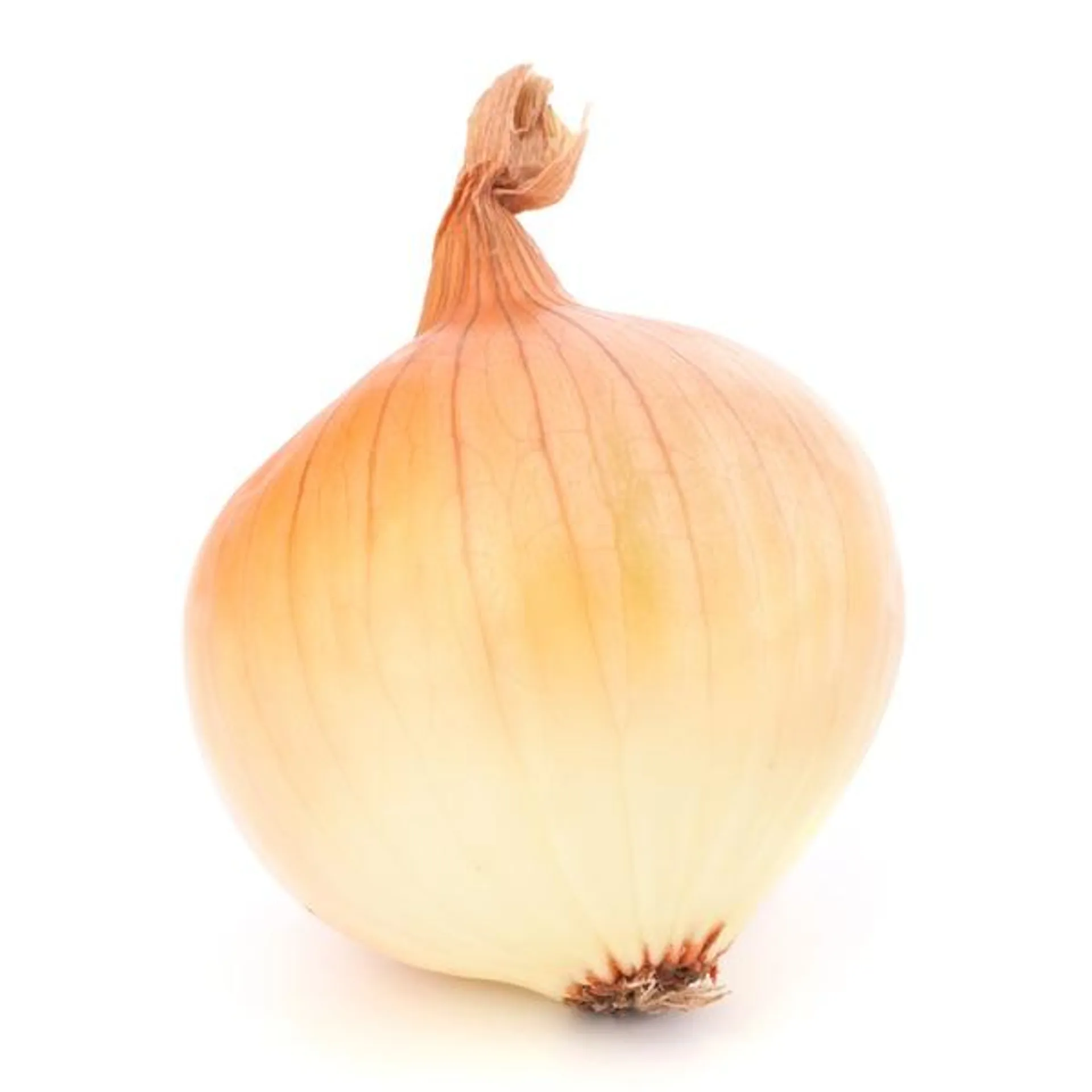 Sweet Onion