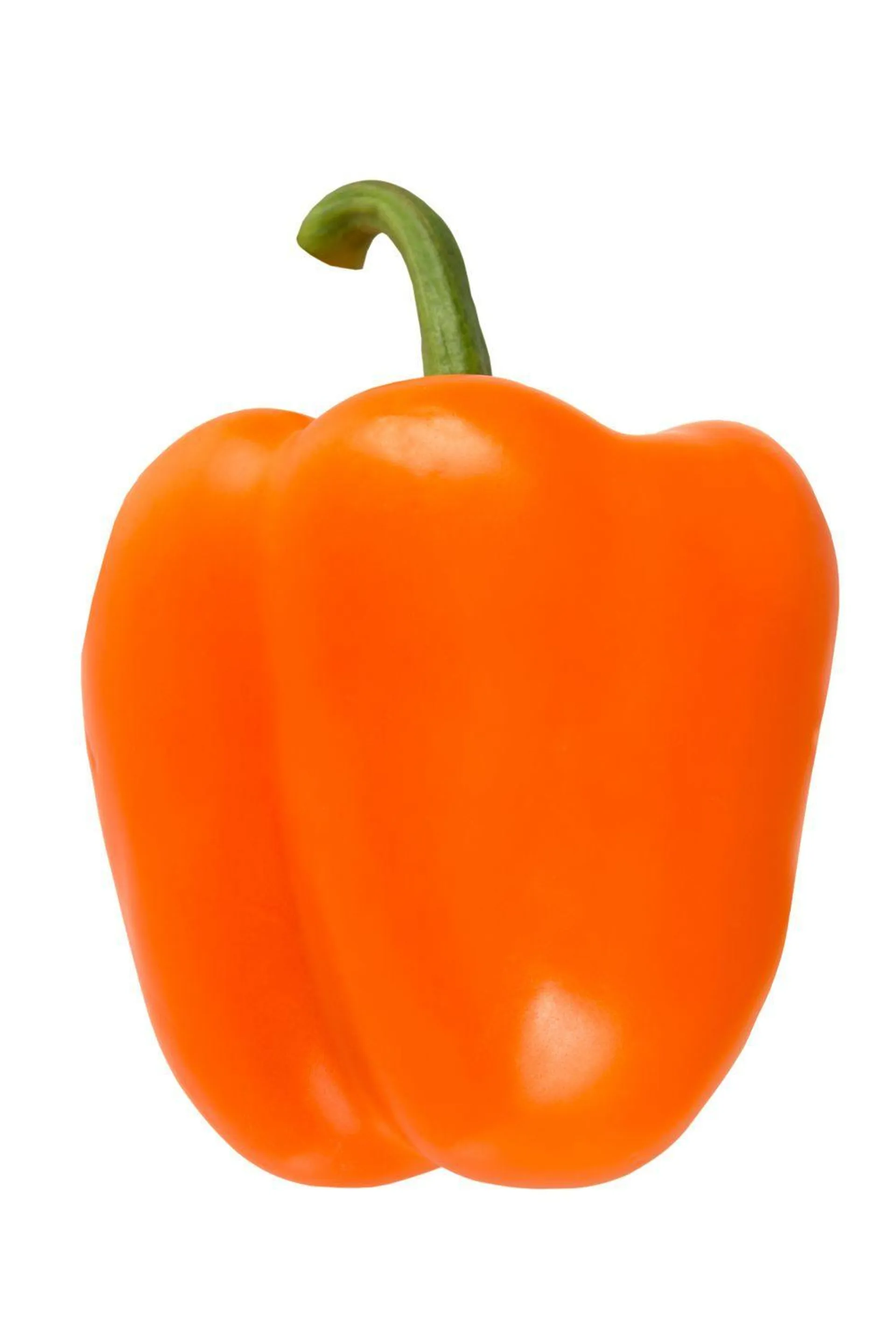 ORANGE PEPPERS