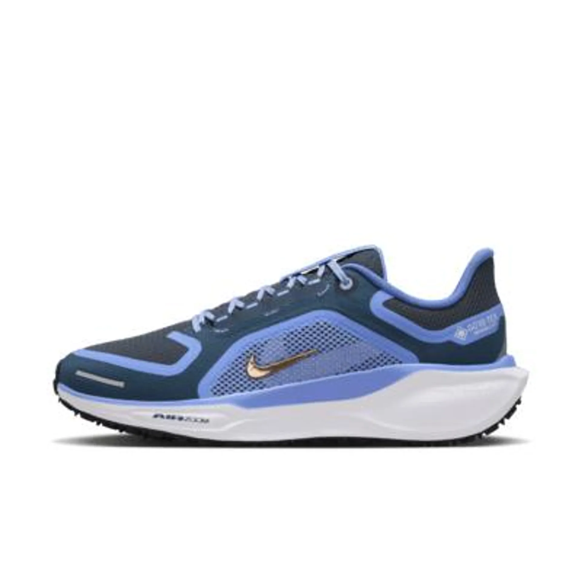 Nike Pegasus 41 GORE-TEX