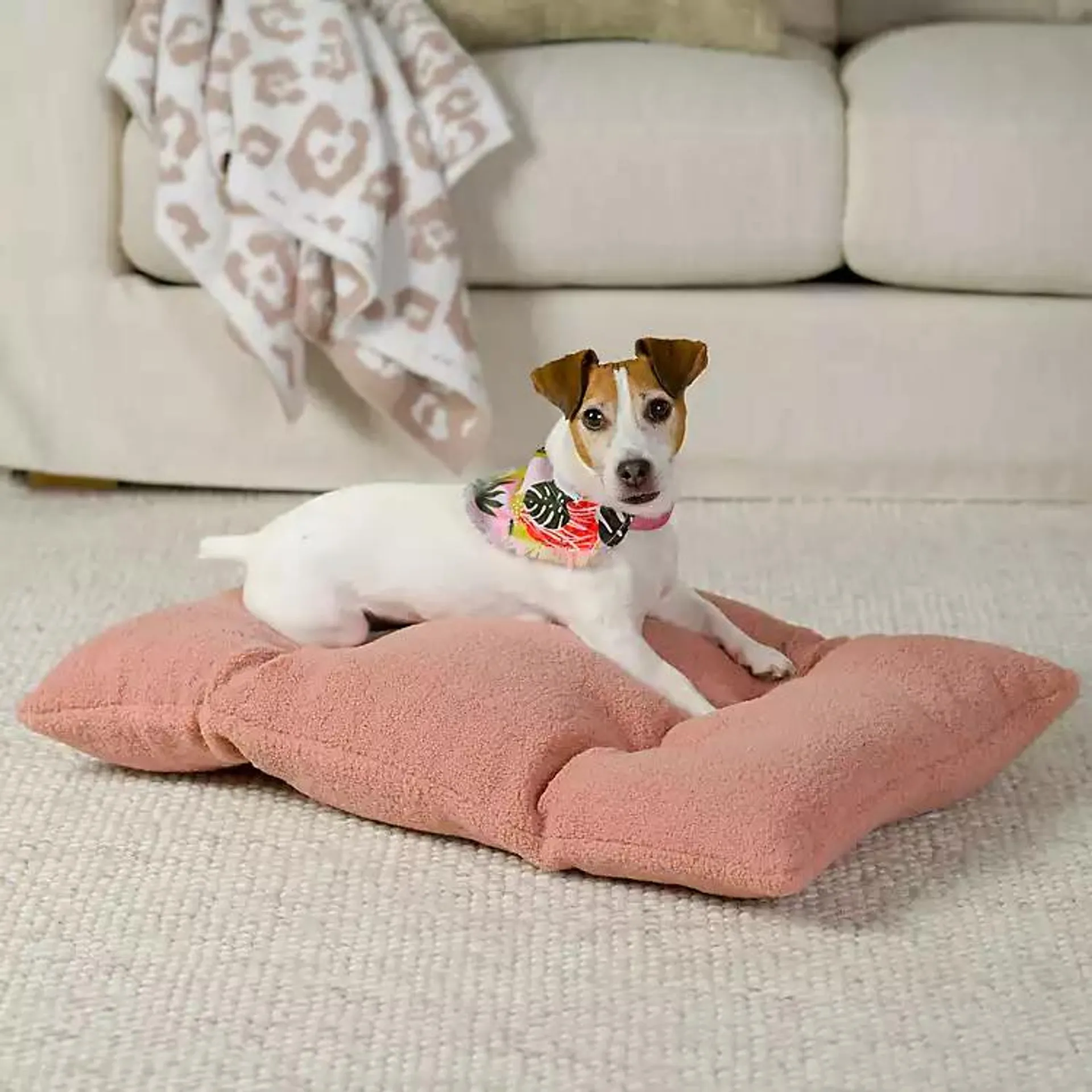 Blush Sherpa Teddy Pet Mat