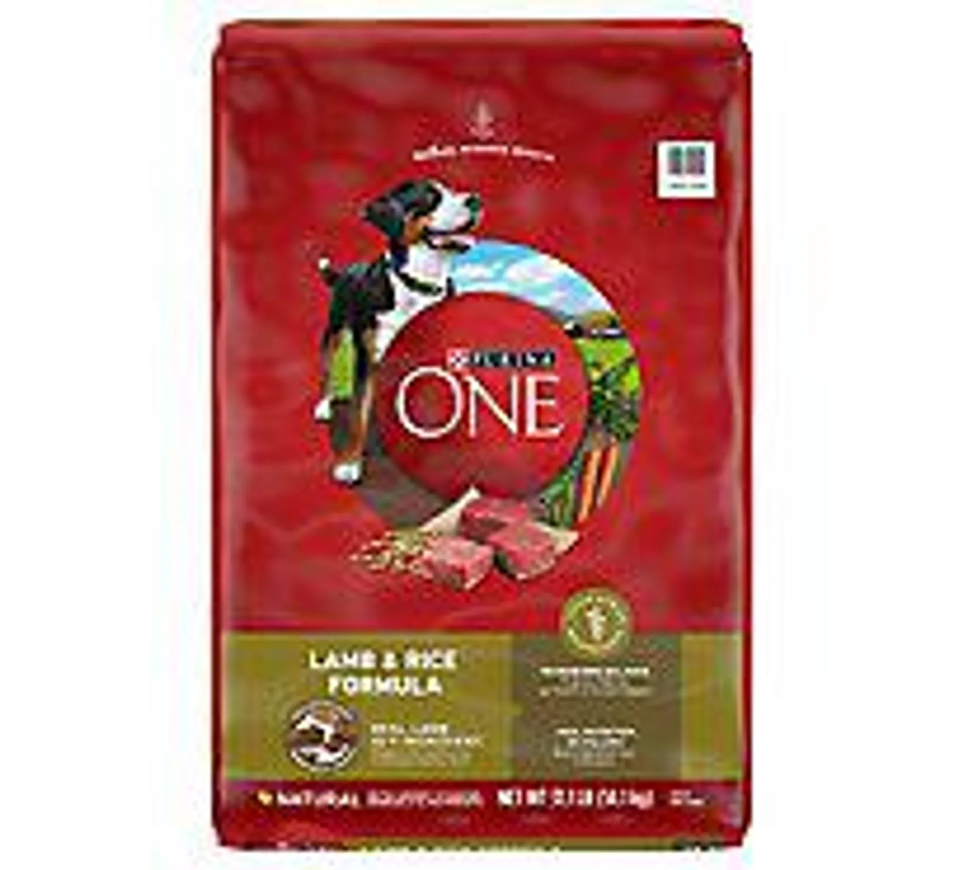 Purina ONE Smartblend Lamb & Rice Dry Dog Food - 31.1 Lbs