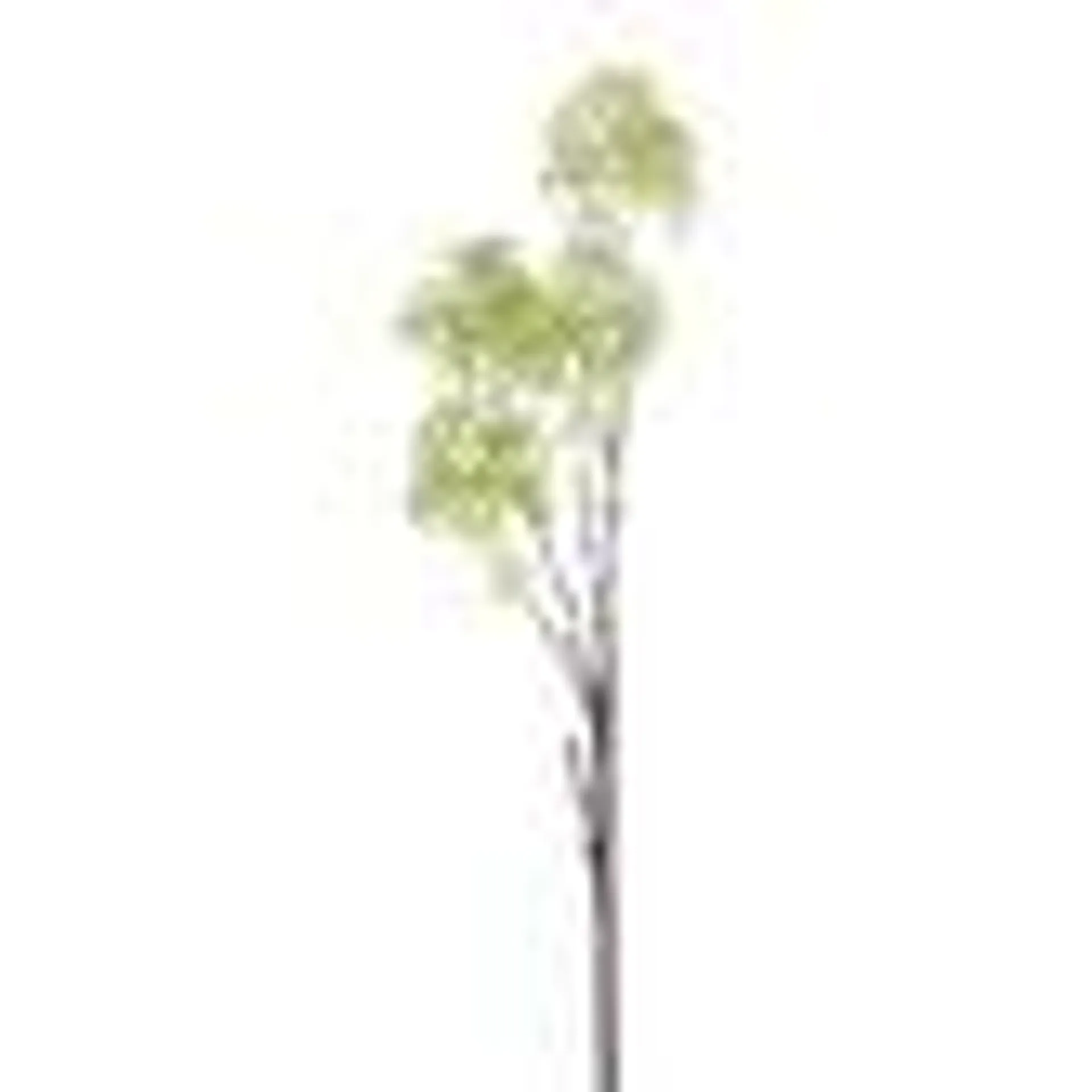 Faux Spring Seeded Eucalyptus Stem