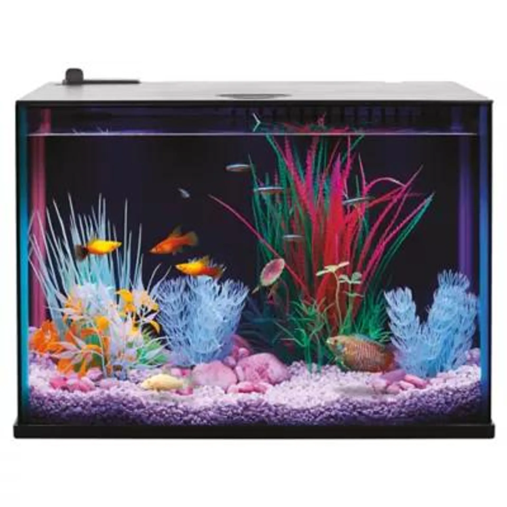 Top Fin® Custom Colorflow™ Aquarium with 7 Color-Changing LEDs