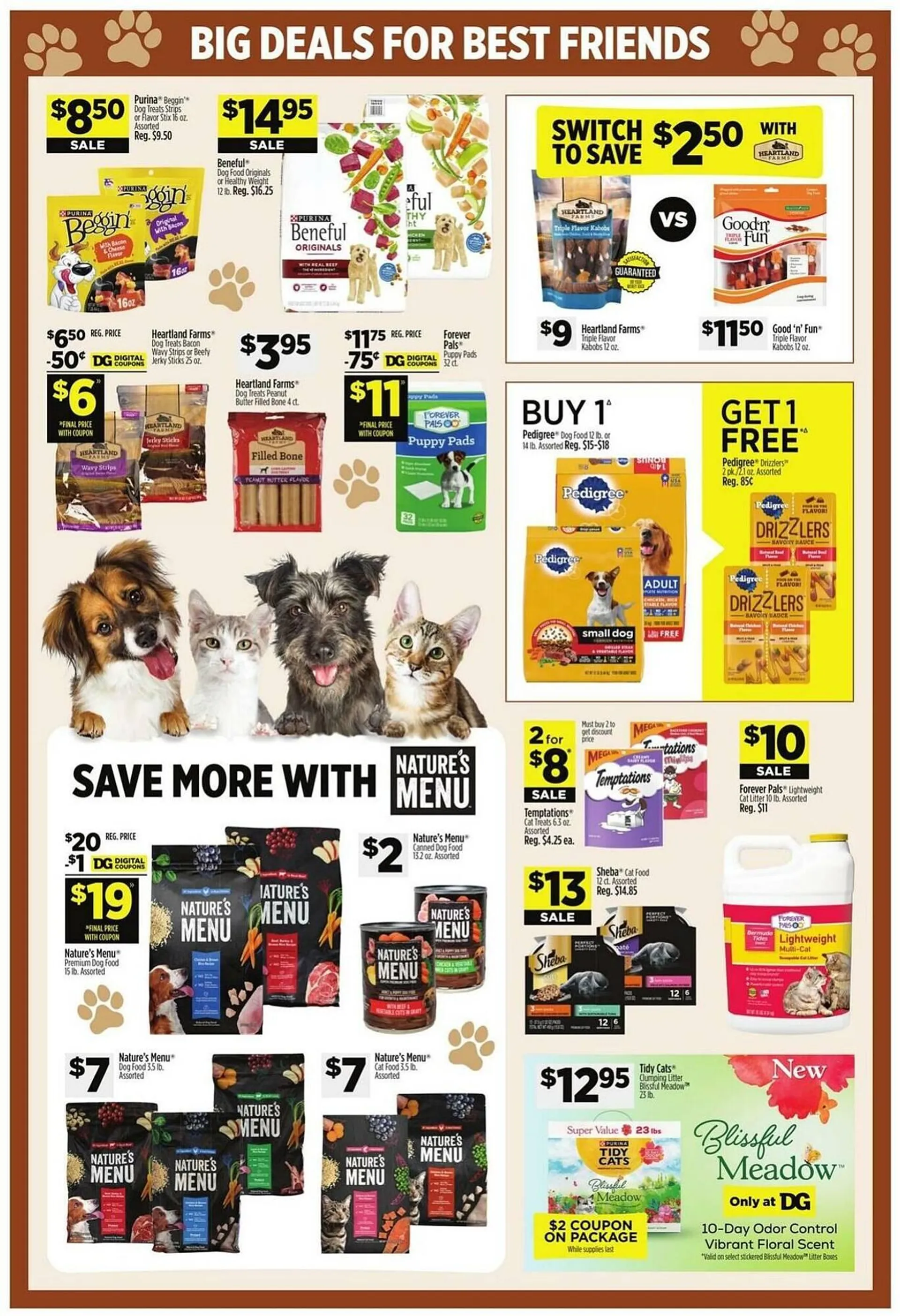 Weekly ad Dollar General Weekly Ad from July 6 to July 12 2025 - Page 15