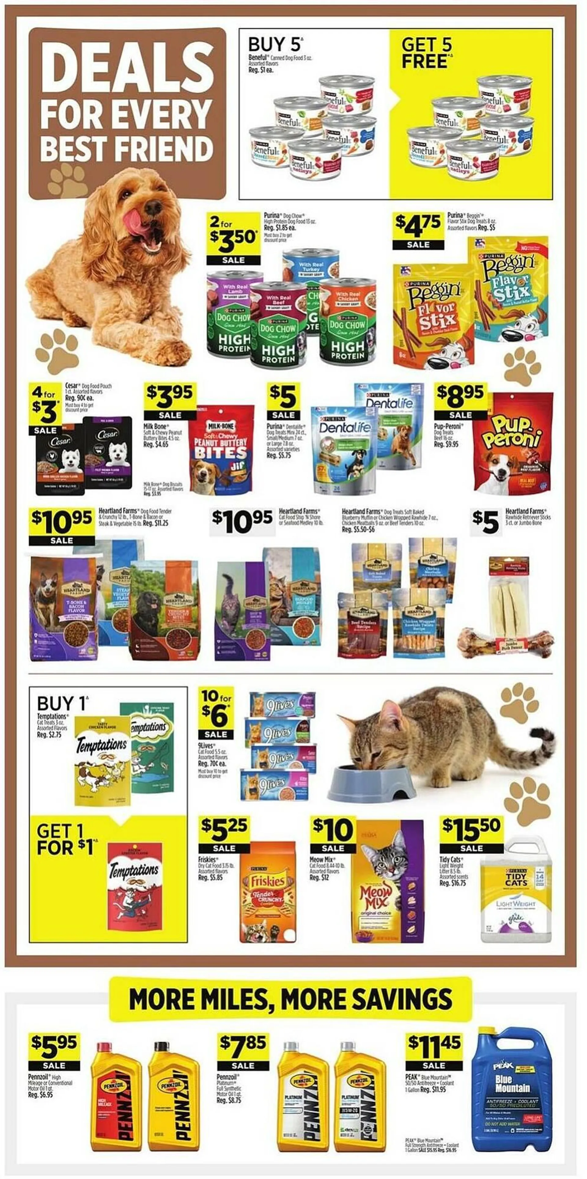 Weekly ad Dollar General Weekly Ad from December 22 to December 28 2024 - Page 10