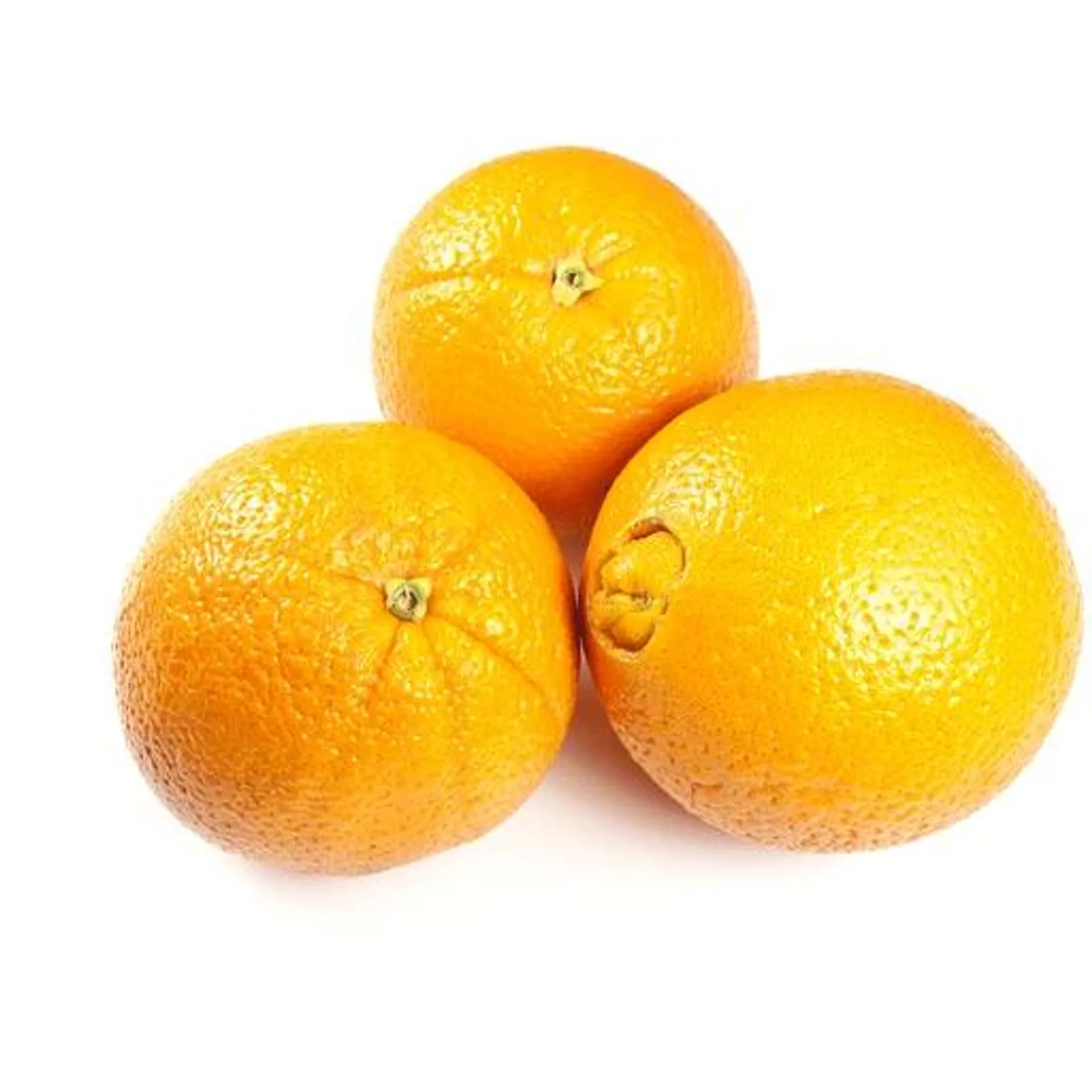 Navel Oranges, Large