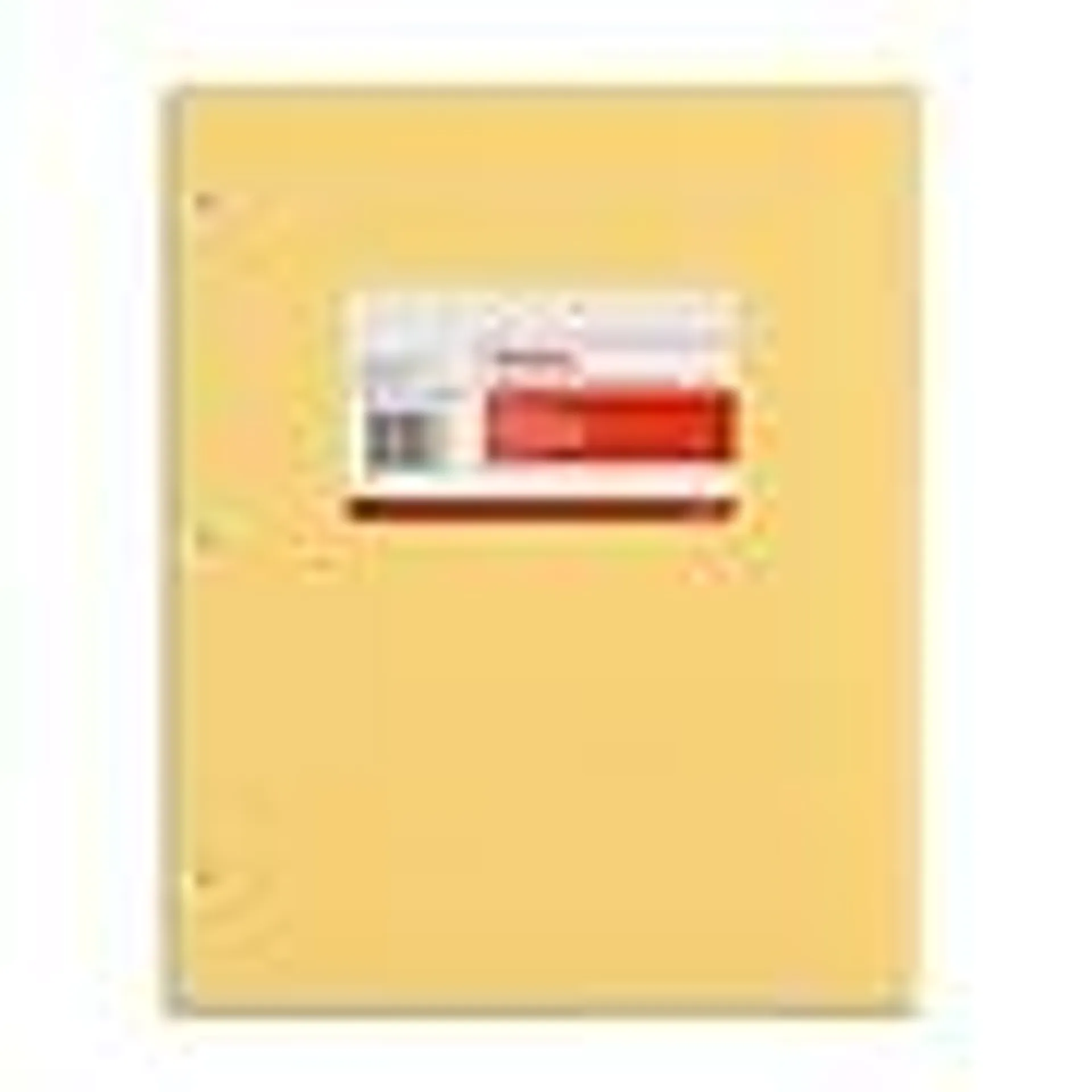 Staples 3-Hole Punched 2-Pocket Plastic Portfolio Folder,