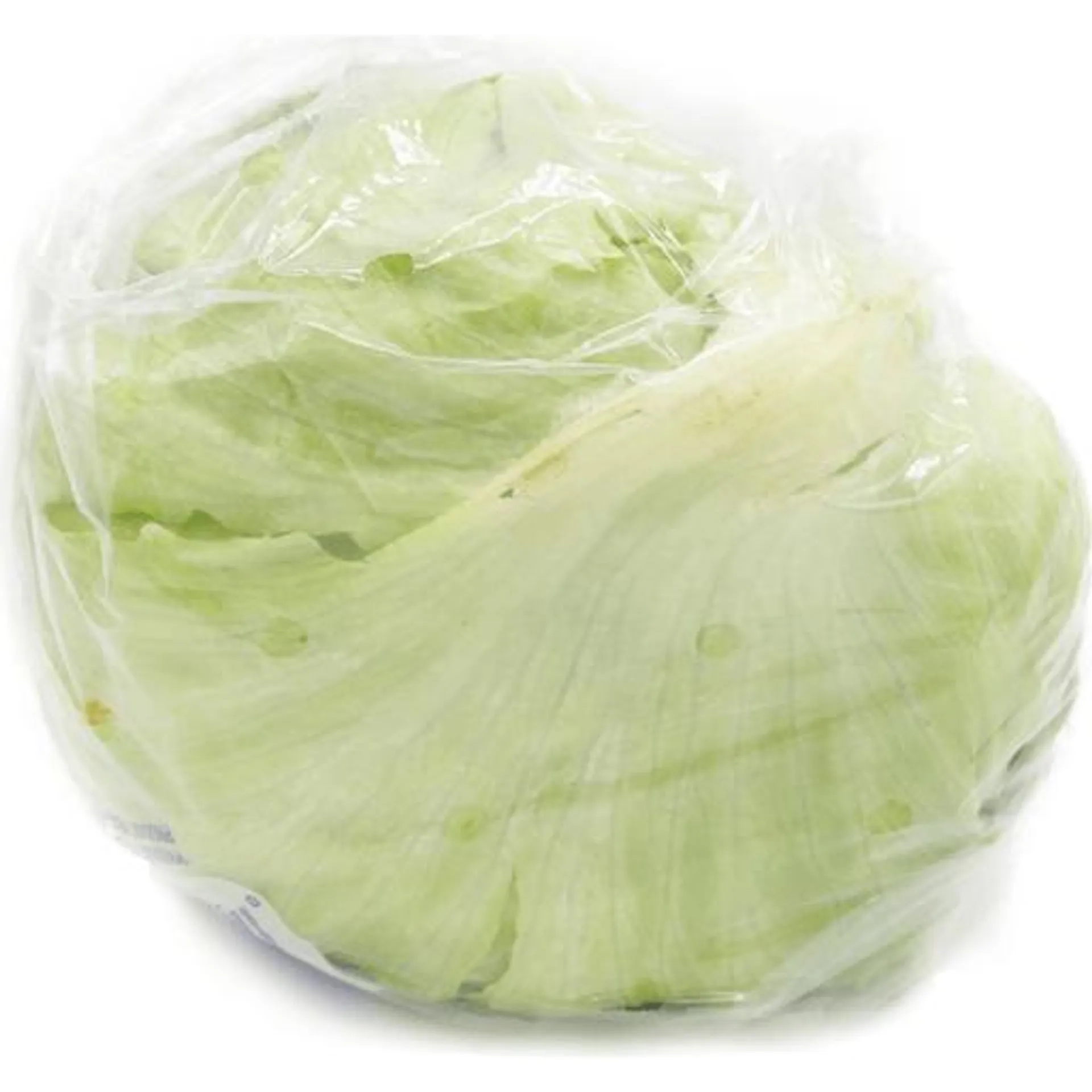 Iceberg Head Lettuce