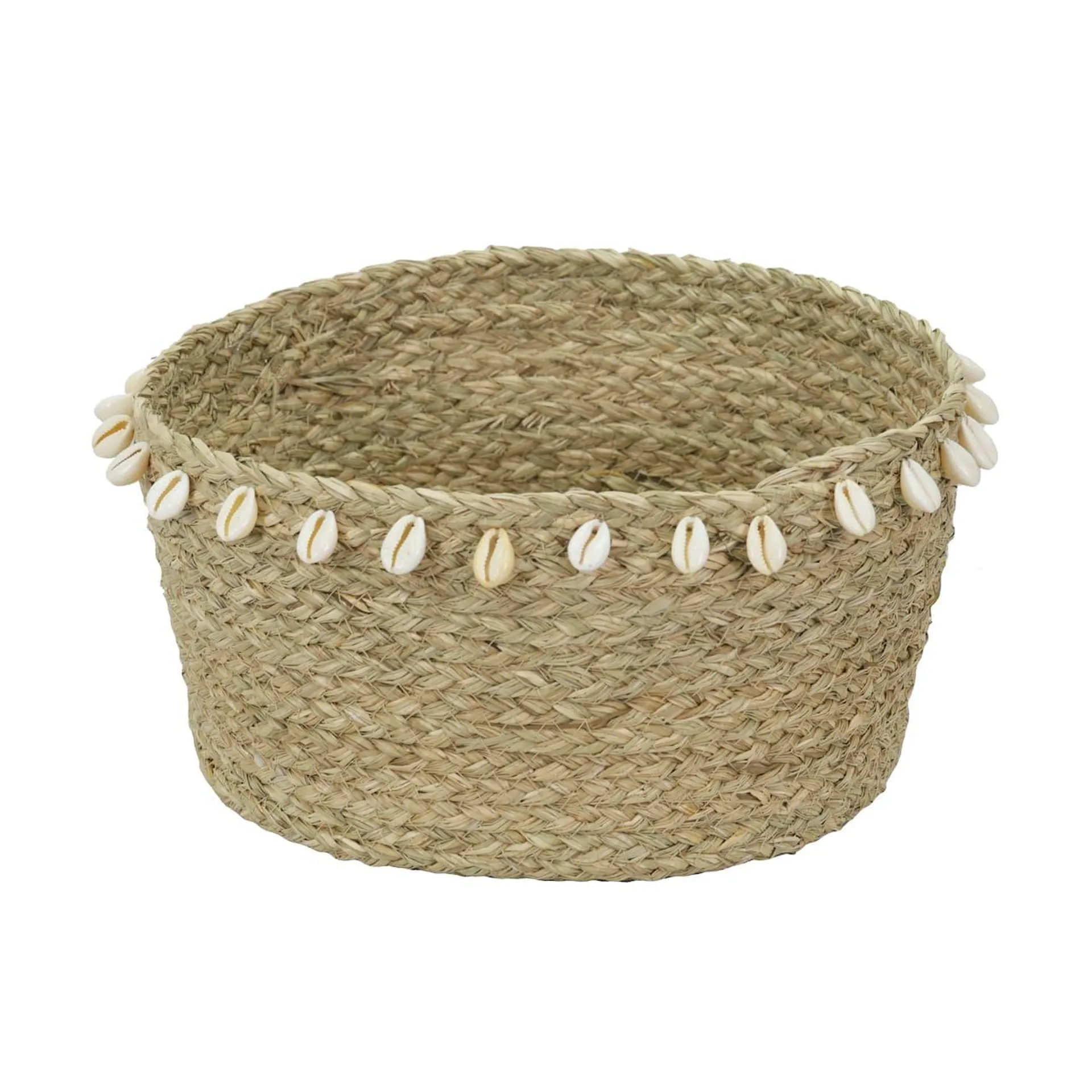 Large Shells & Seagrass Basket by Ashland®