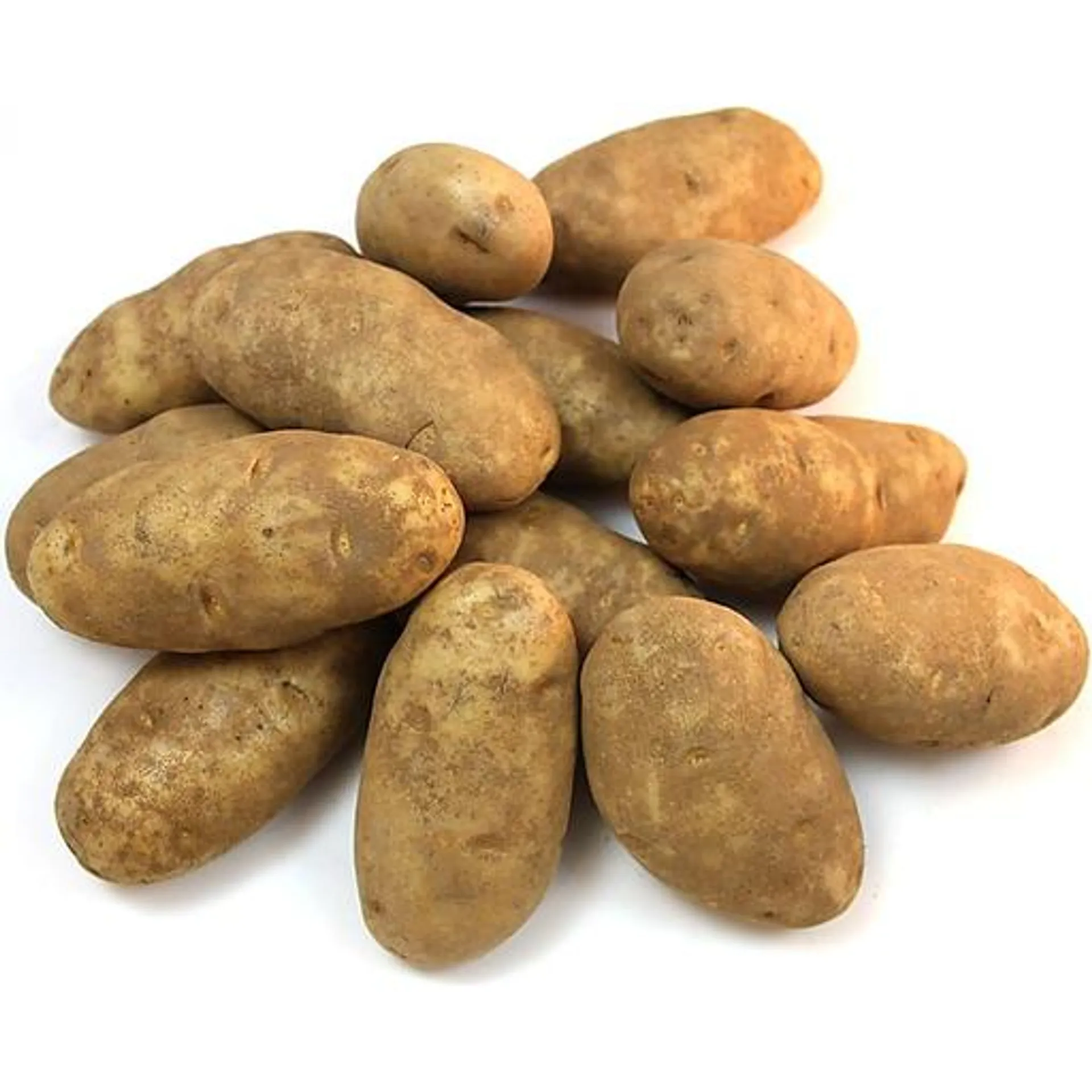 Russet Potatoes - 5 lb. Bag