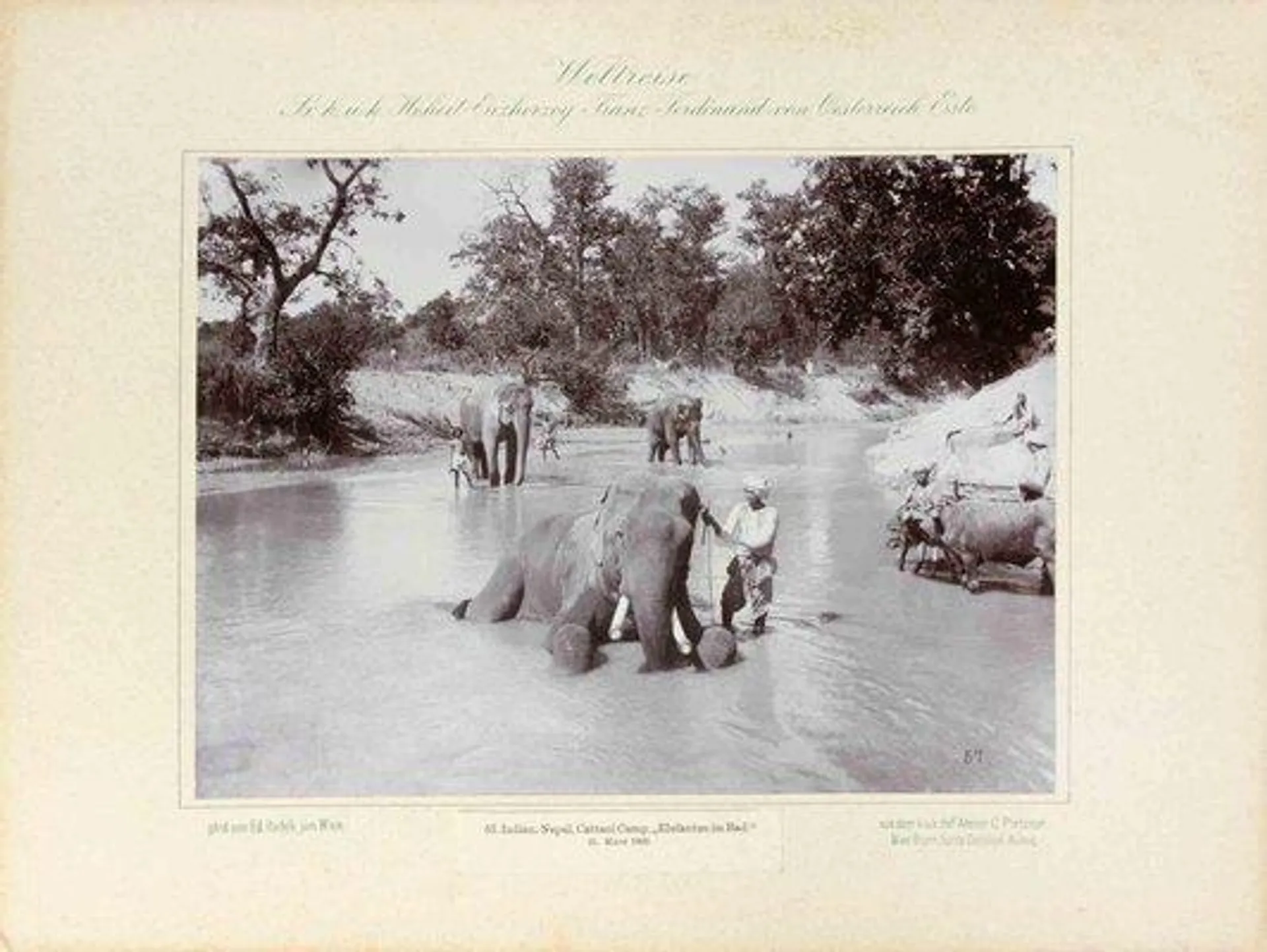 Eduard Hodek Jun, India, Nepal, Cattani Camp, Vintage Photograph, 1893