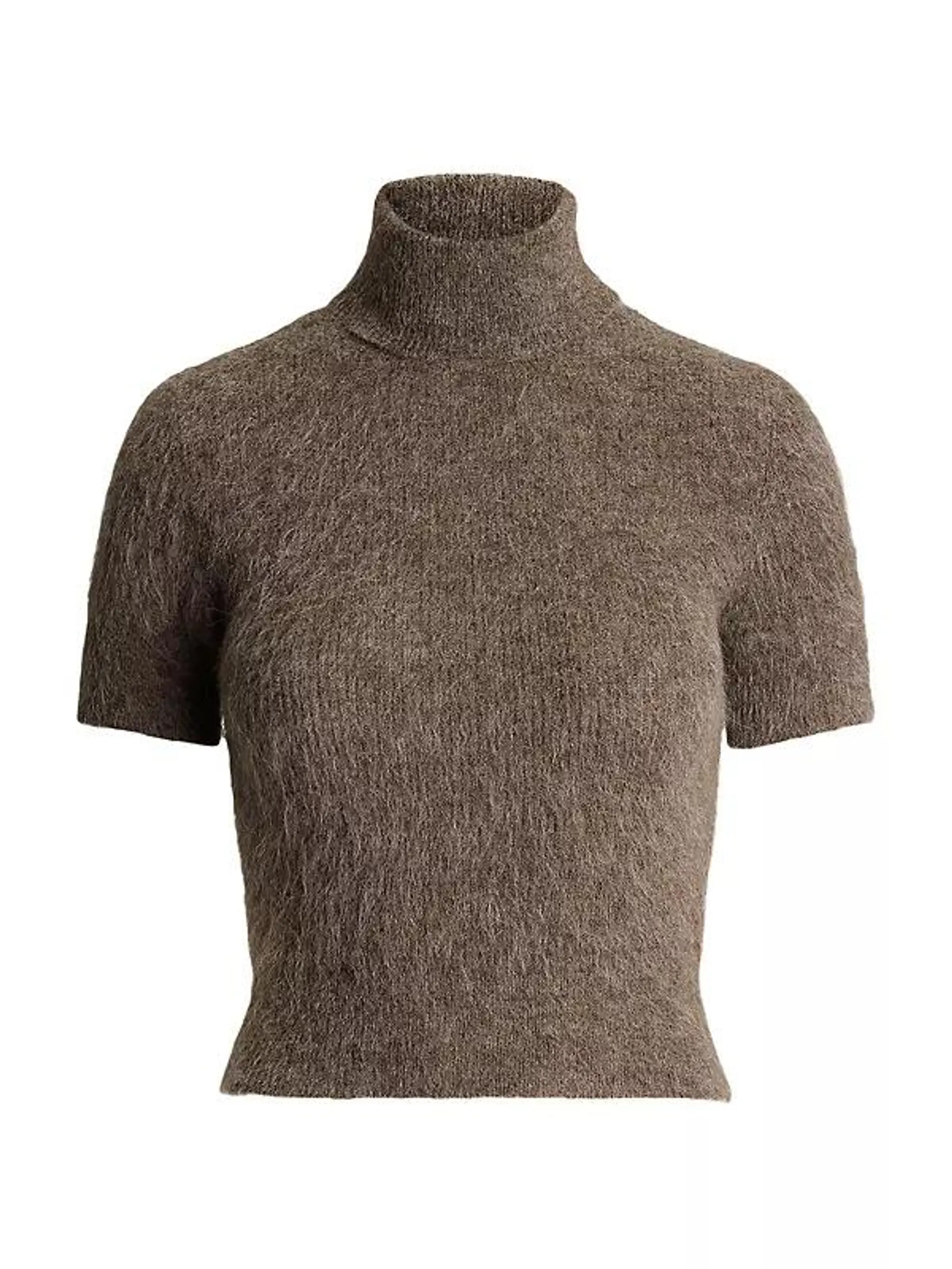 Wool-Blend Turtleneck Short-Sleeve Sweater