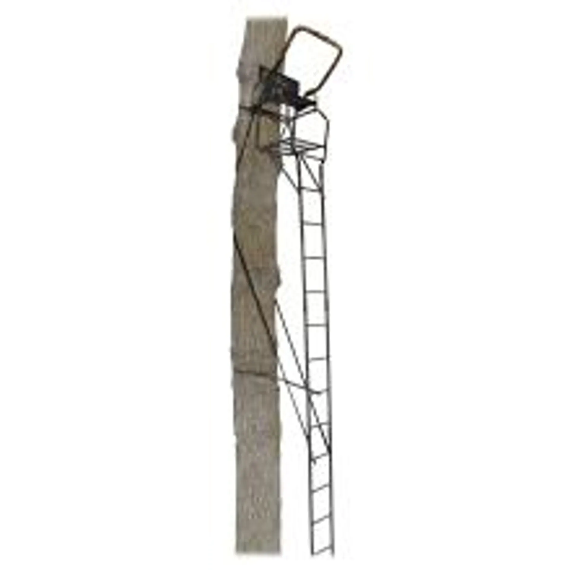 Big Game Striker XL Ladder Stand