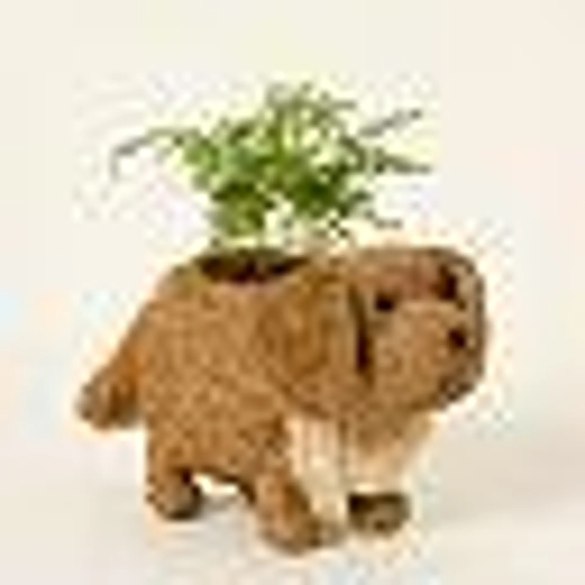 Coconut Fiber Dog Planter