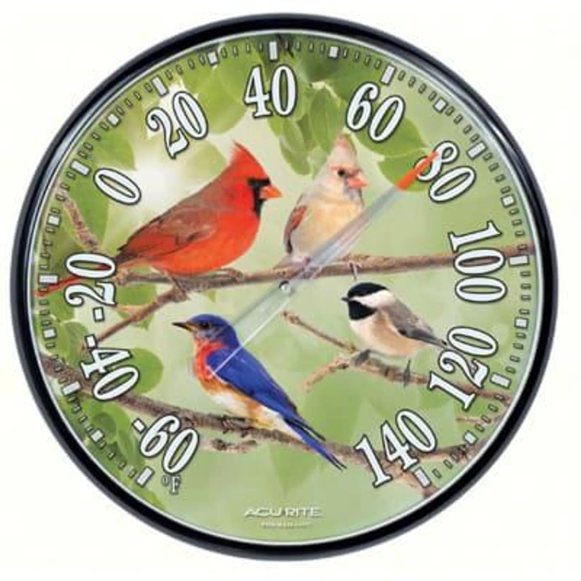 AcuRite 12.5 in Songbirds Thermometer