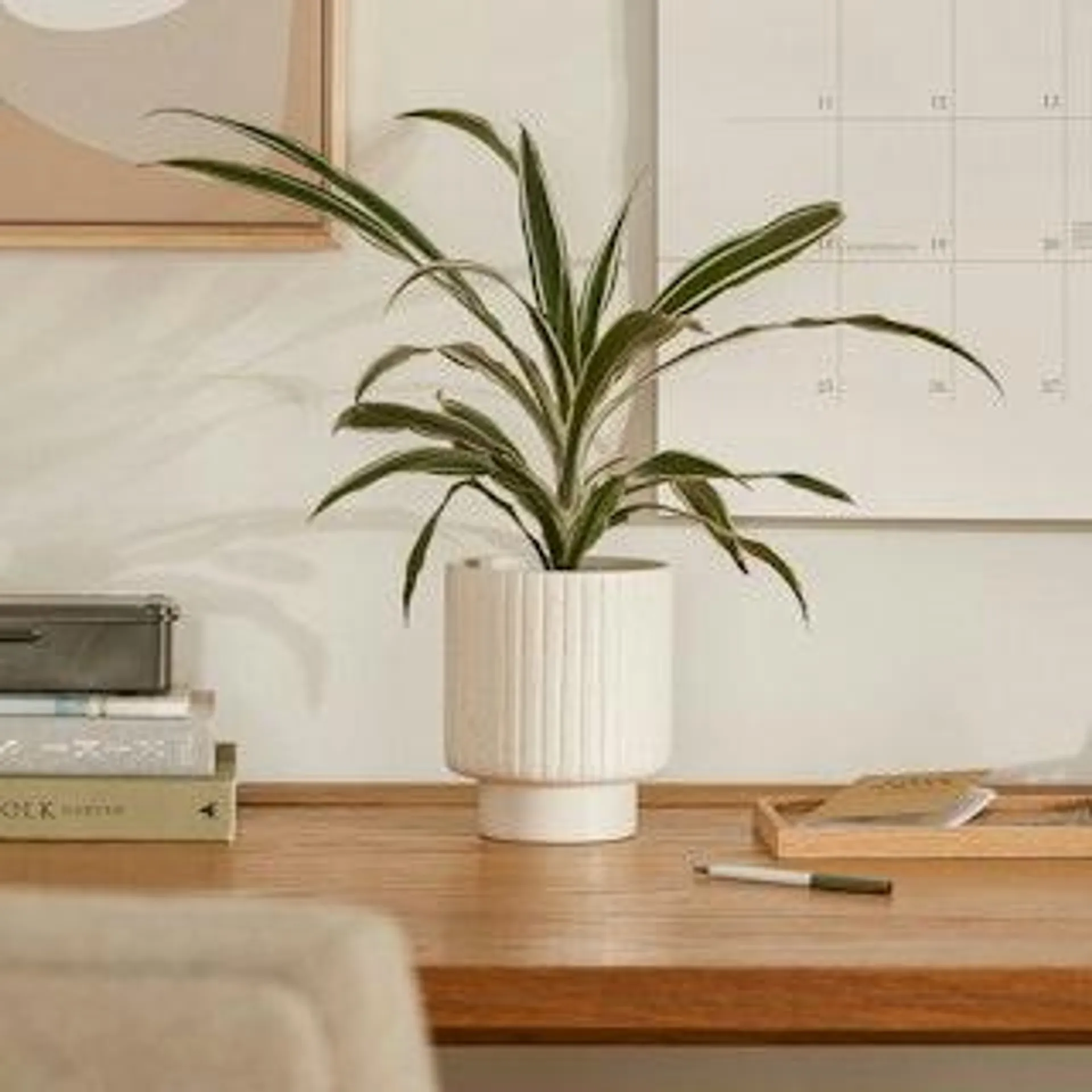 Stedum Speckled White Small Planter